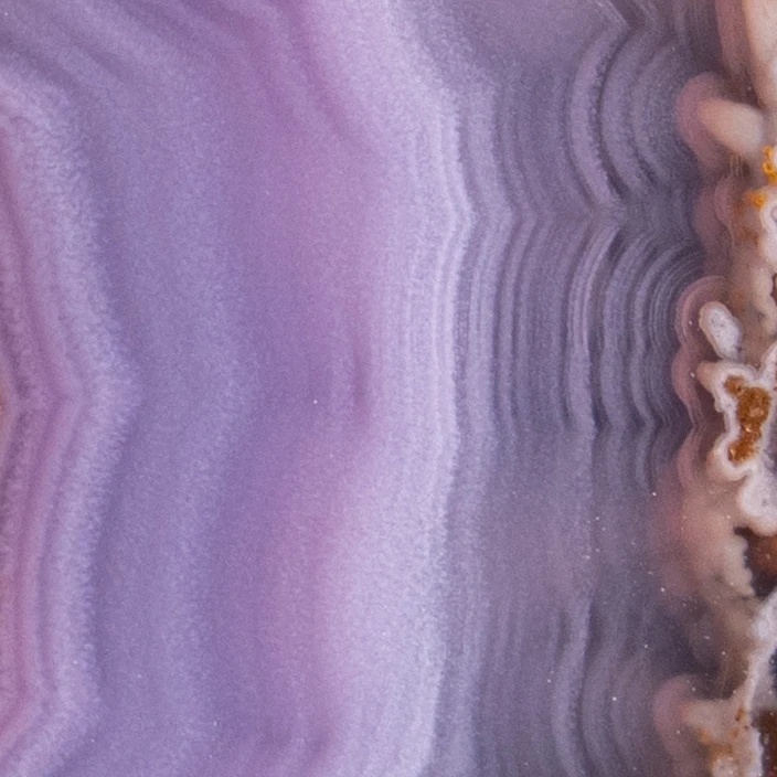 Marrow Layer - view 3