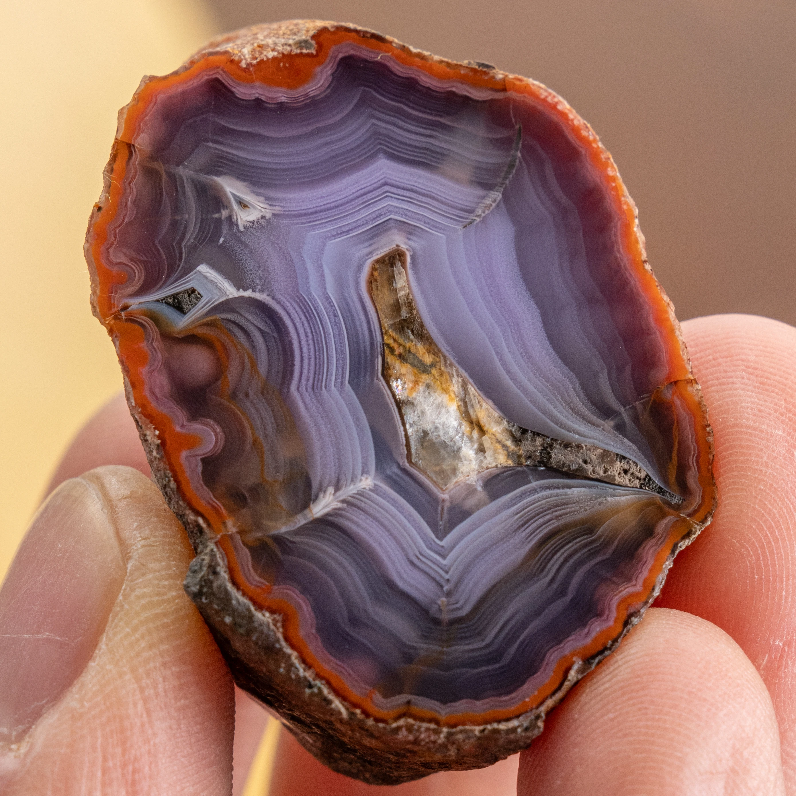 Eclipse Crest - view 2