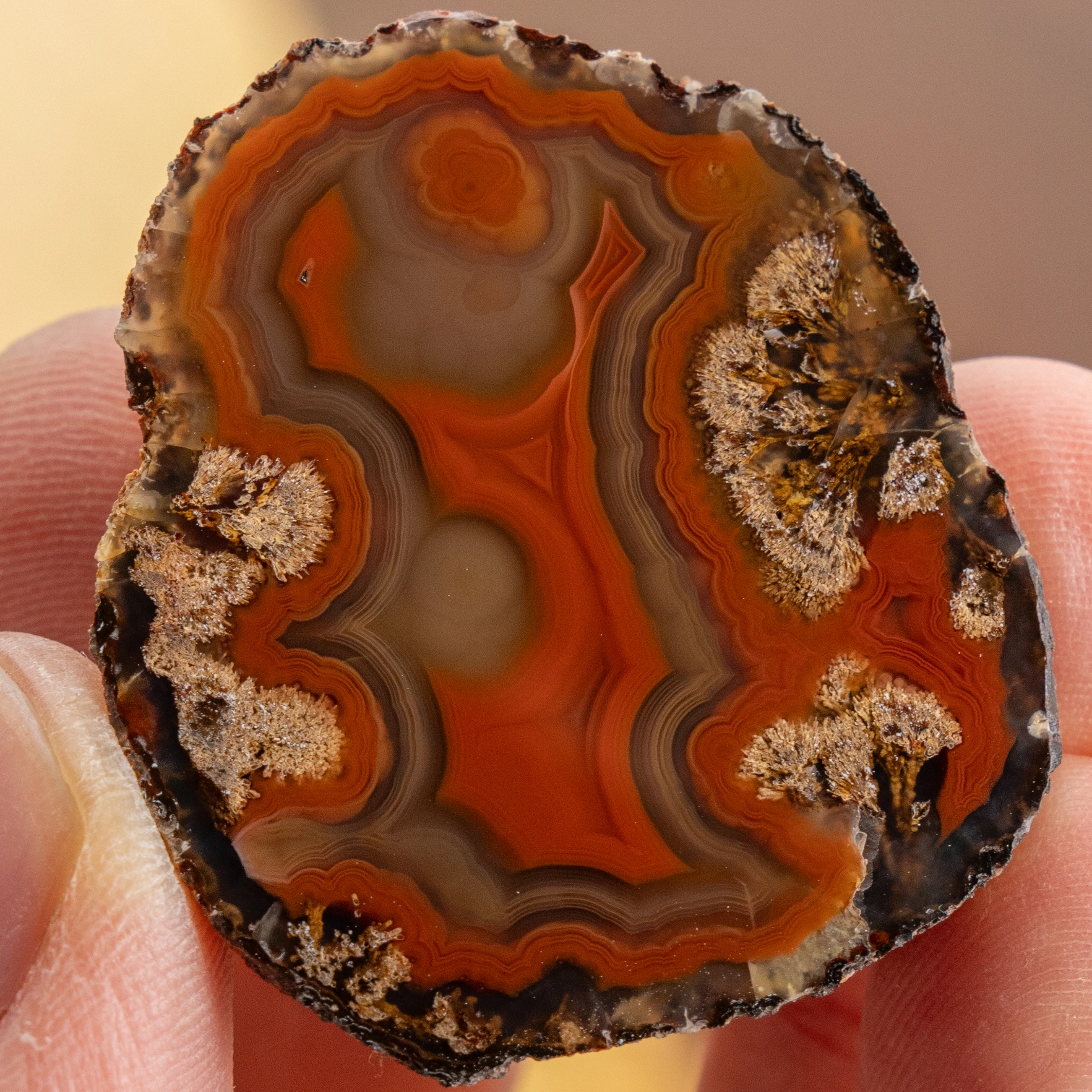 Quartz Earthline - view 2
