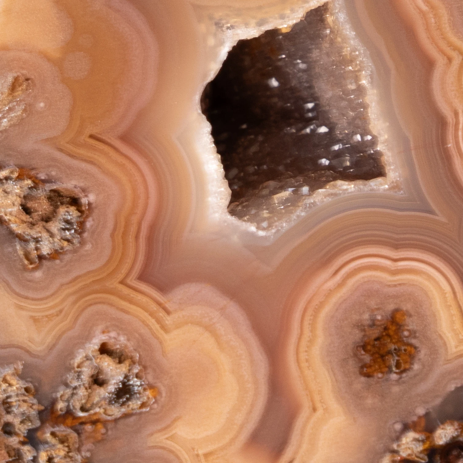 Wave Quasar - view 5