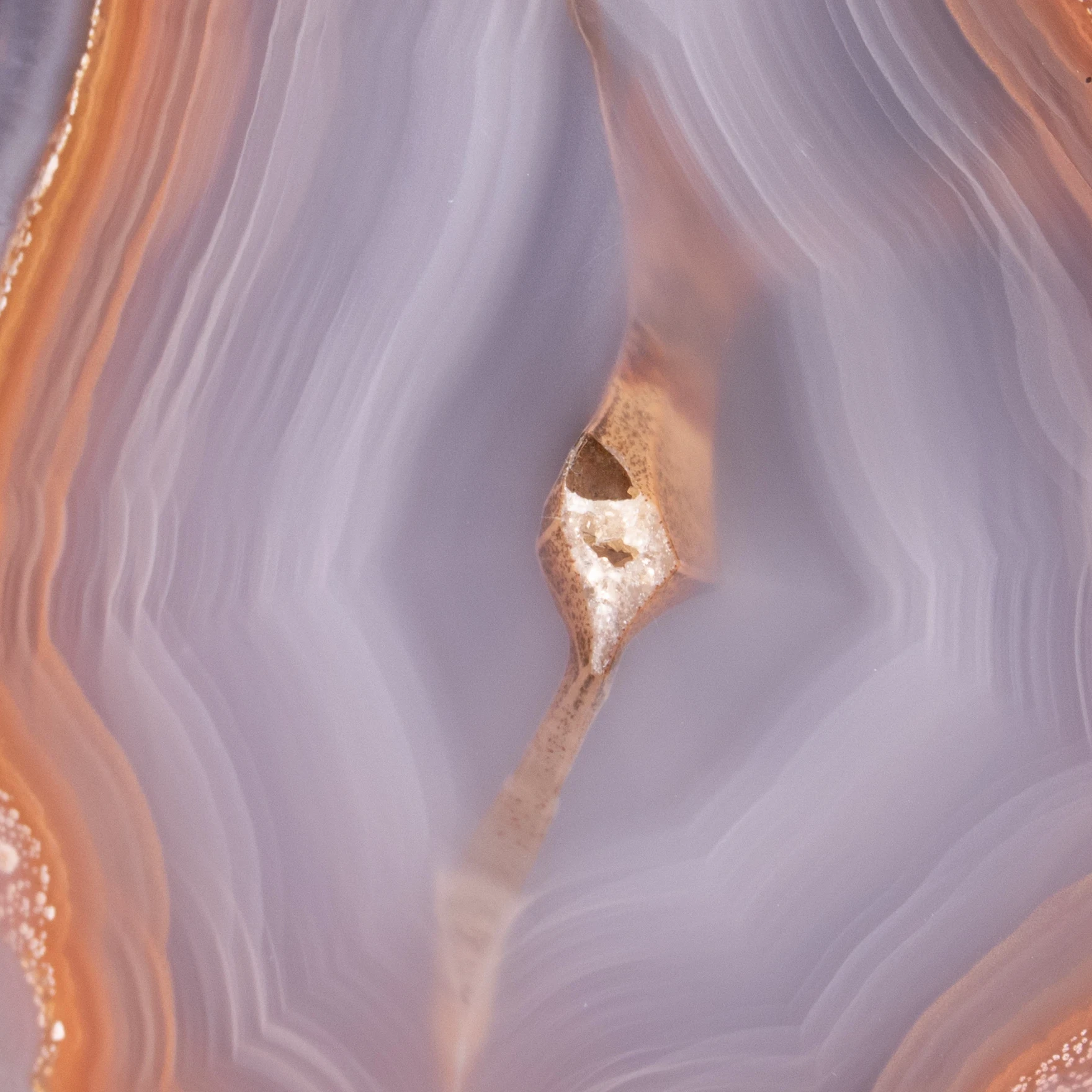 Pulse Quantum - view 3