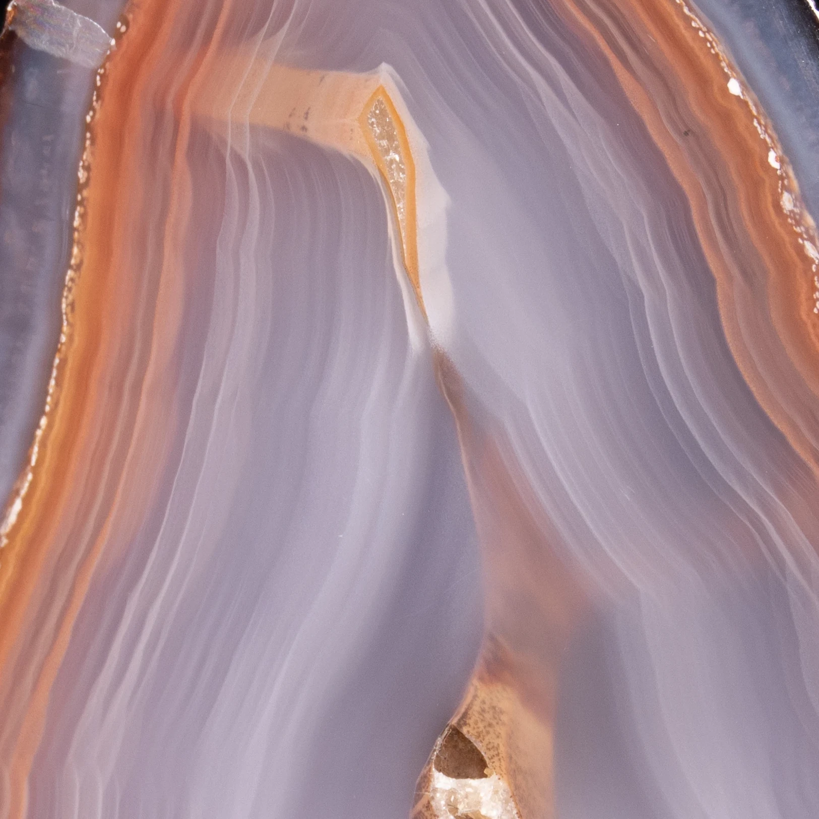 Pulse Quantum - view 4