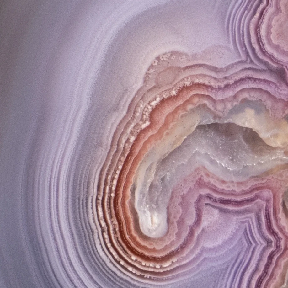 Root Strata - view 4