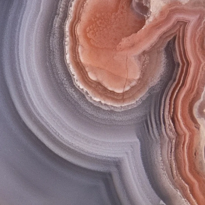 Root Strata - view 3