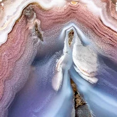 Serenade - view 5