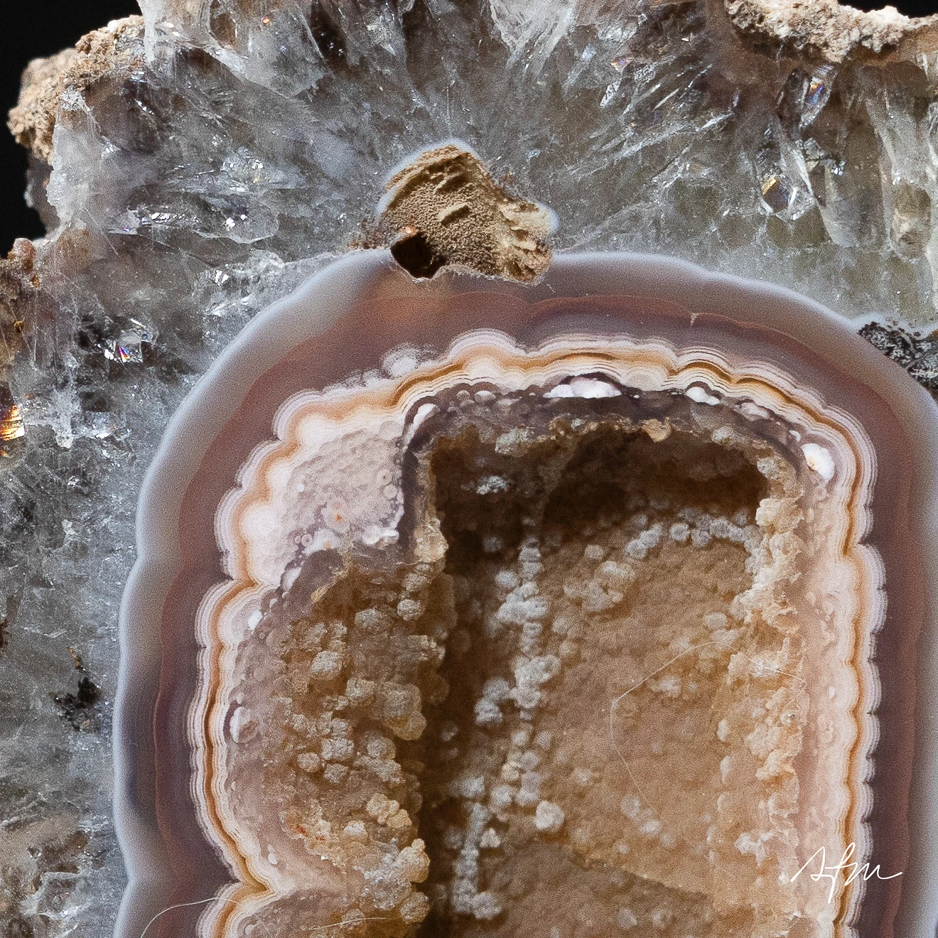 Kin Relic - view 3