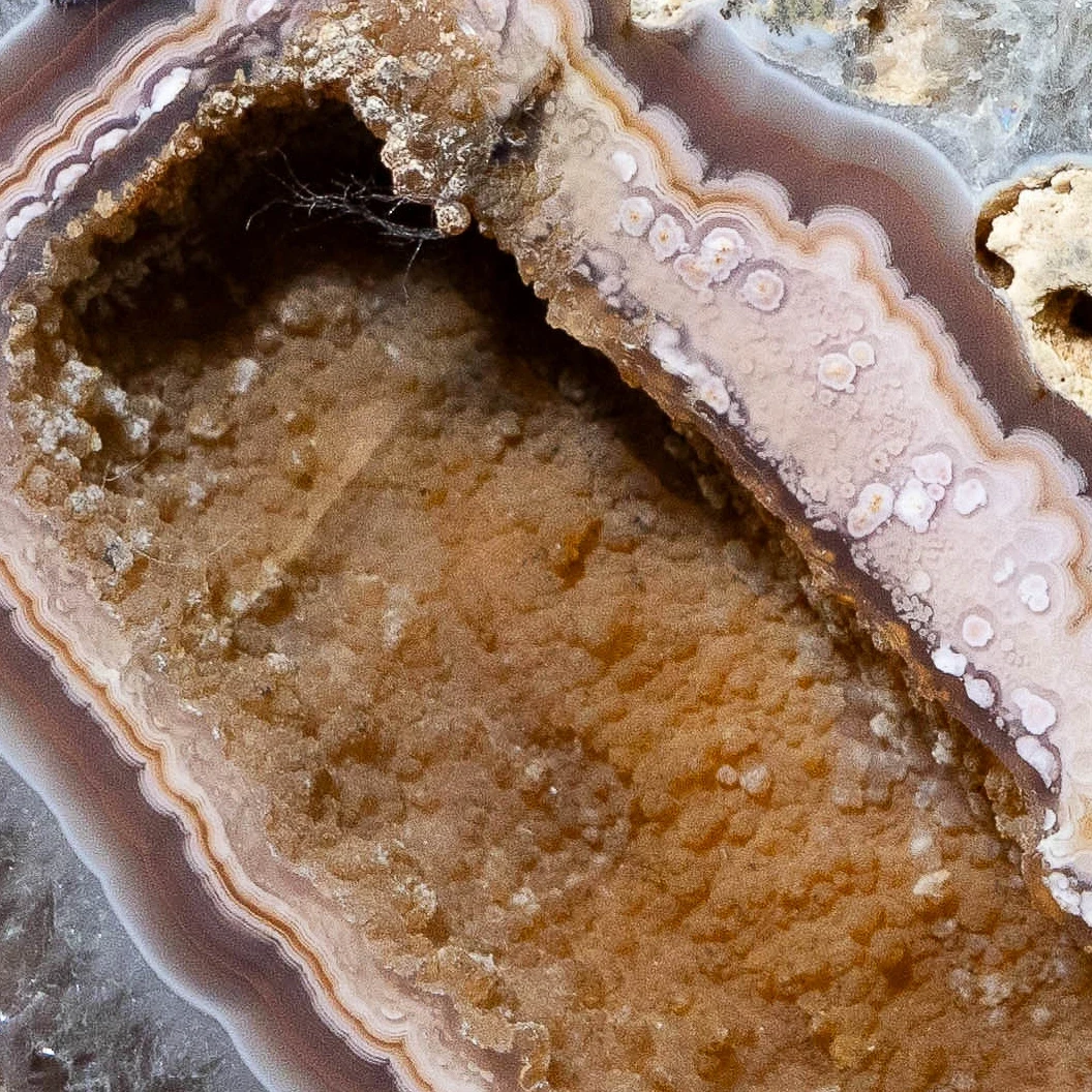 Kin Relic - view 5