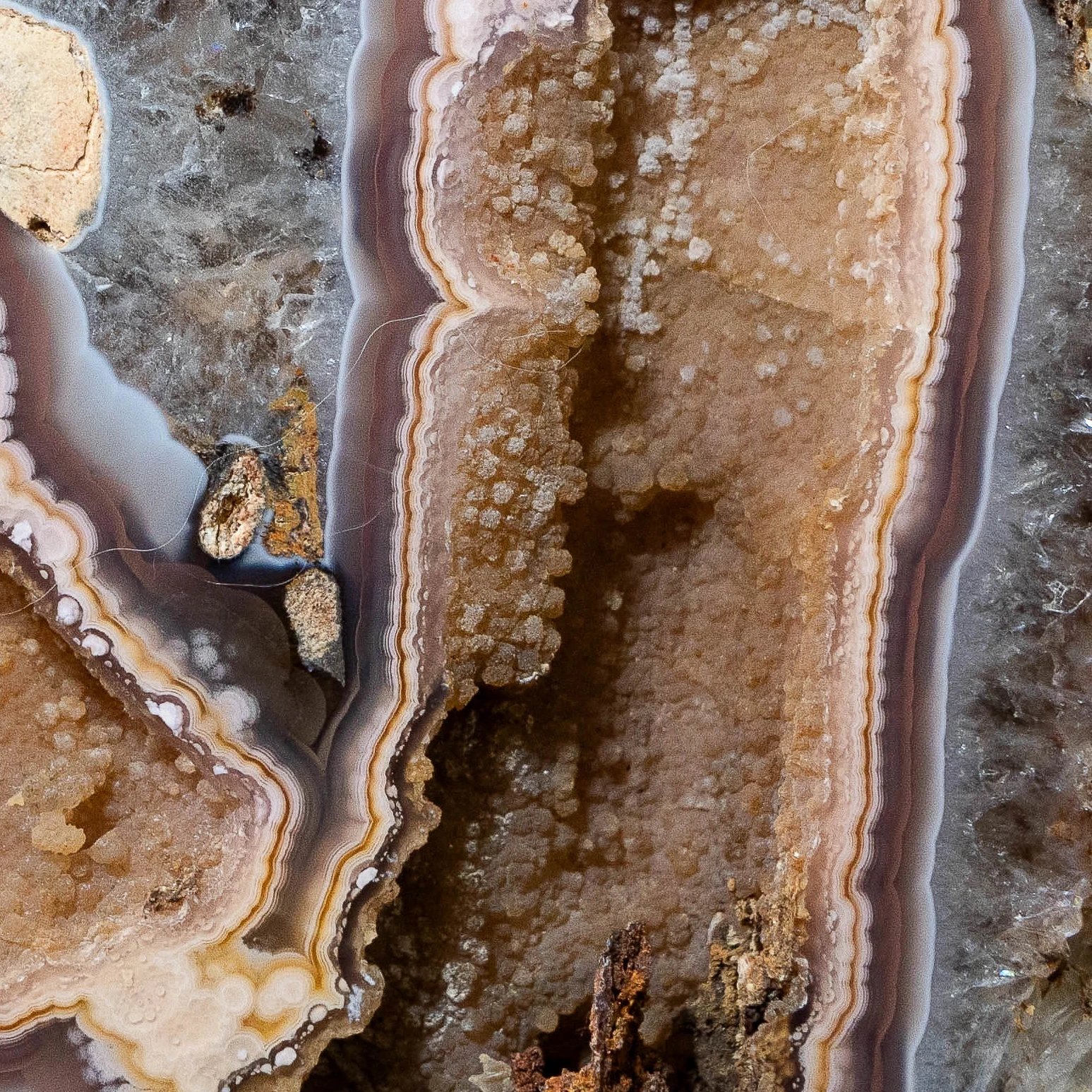 Kin Relic - view 4