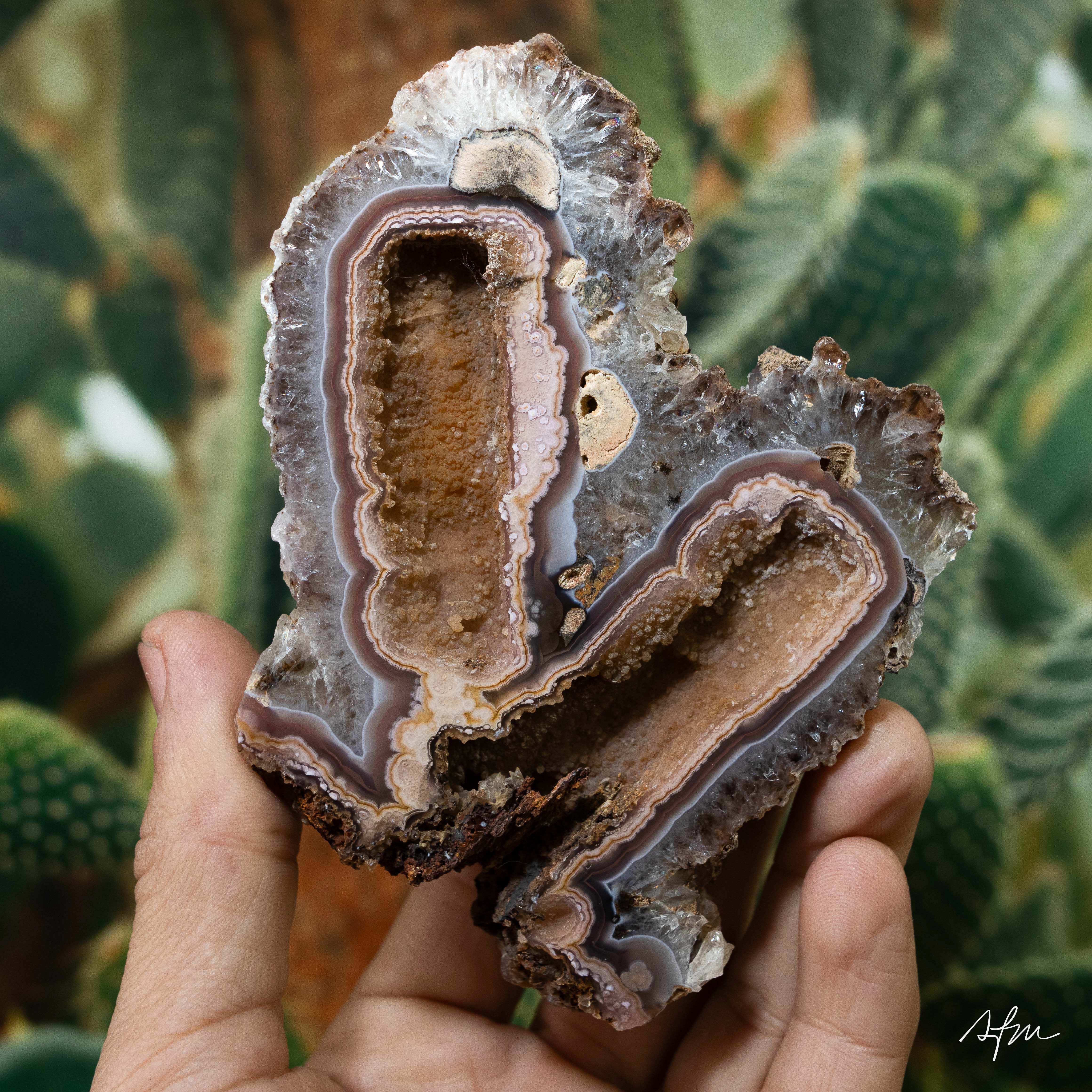 Kin Relic - view 2