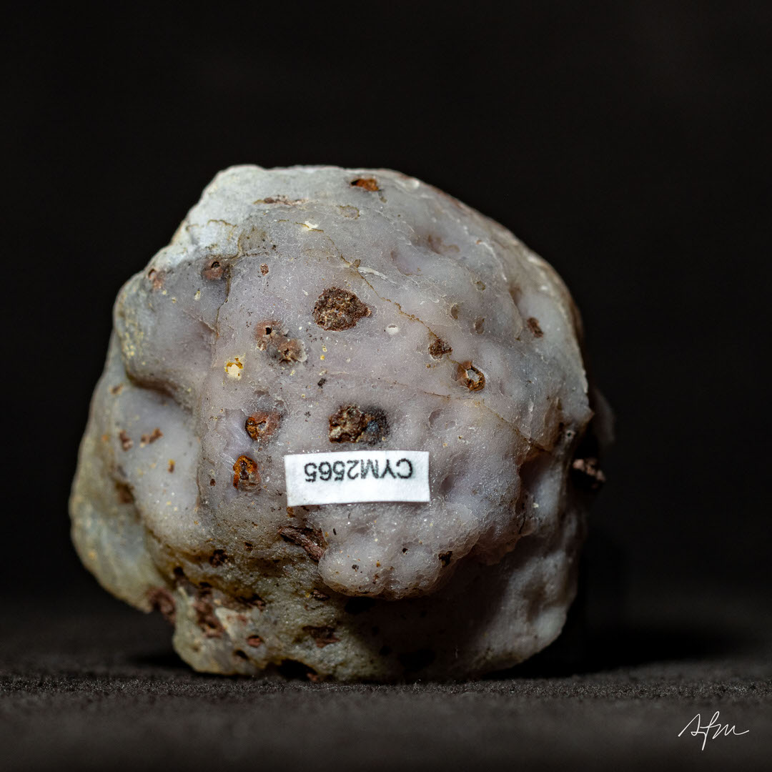 Cosmic Dust - view 5