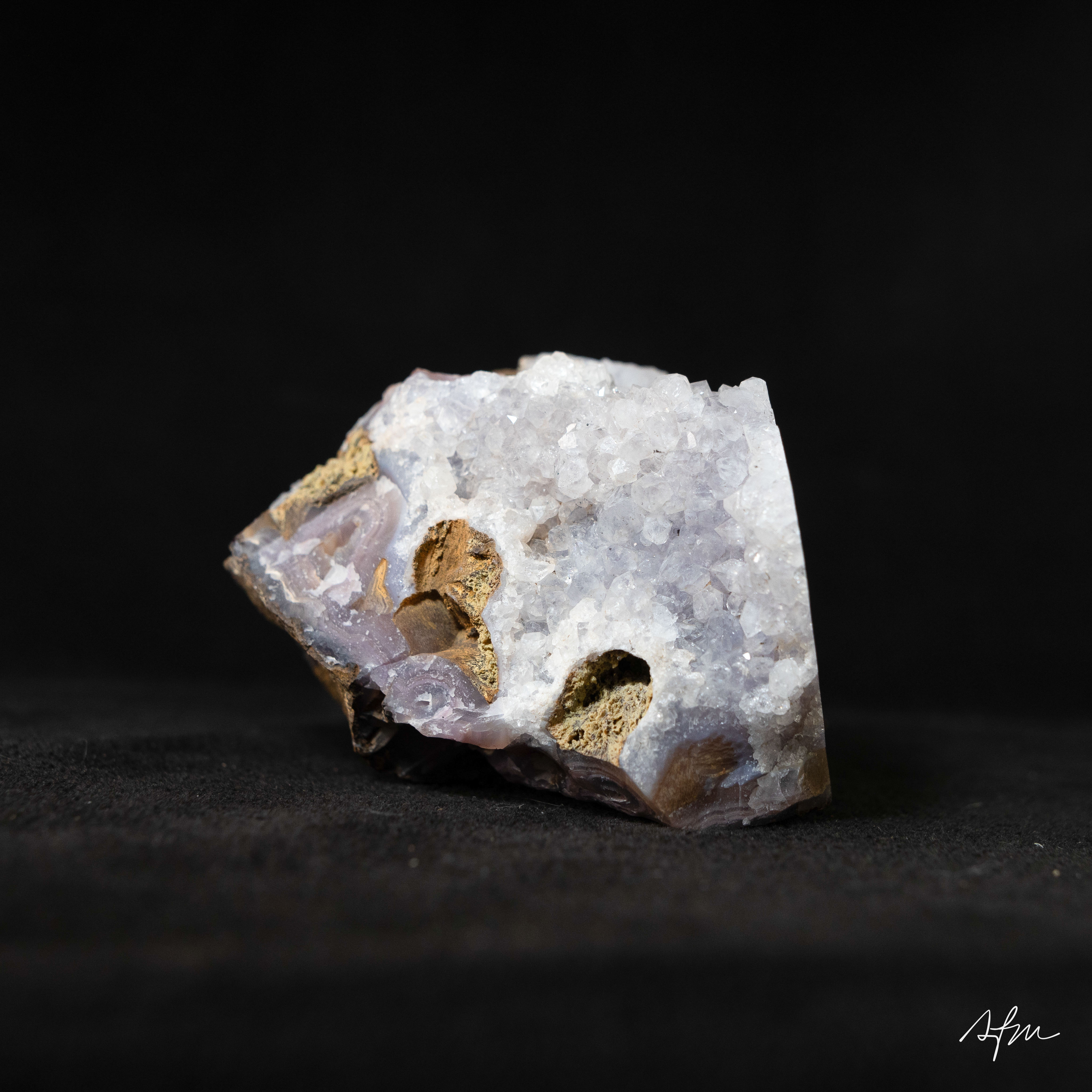 Hollow Gaze - view 5