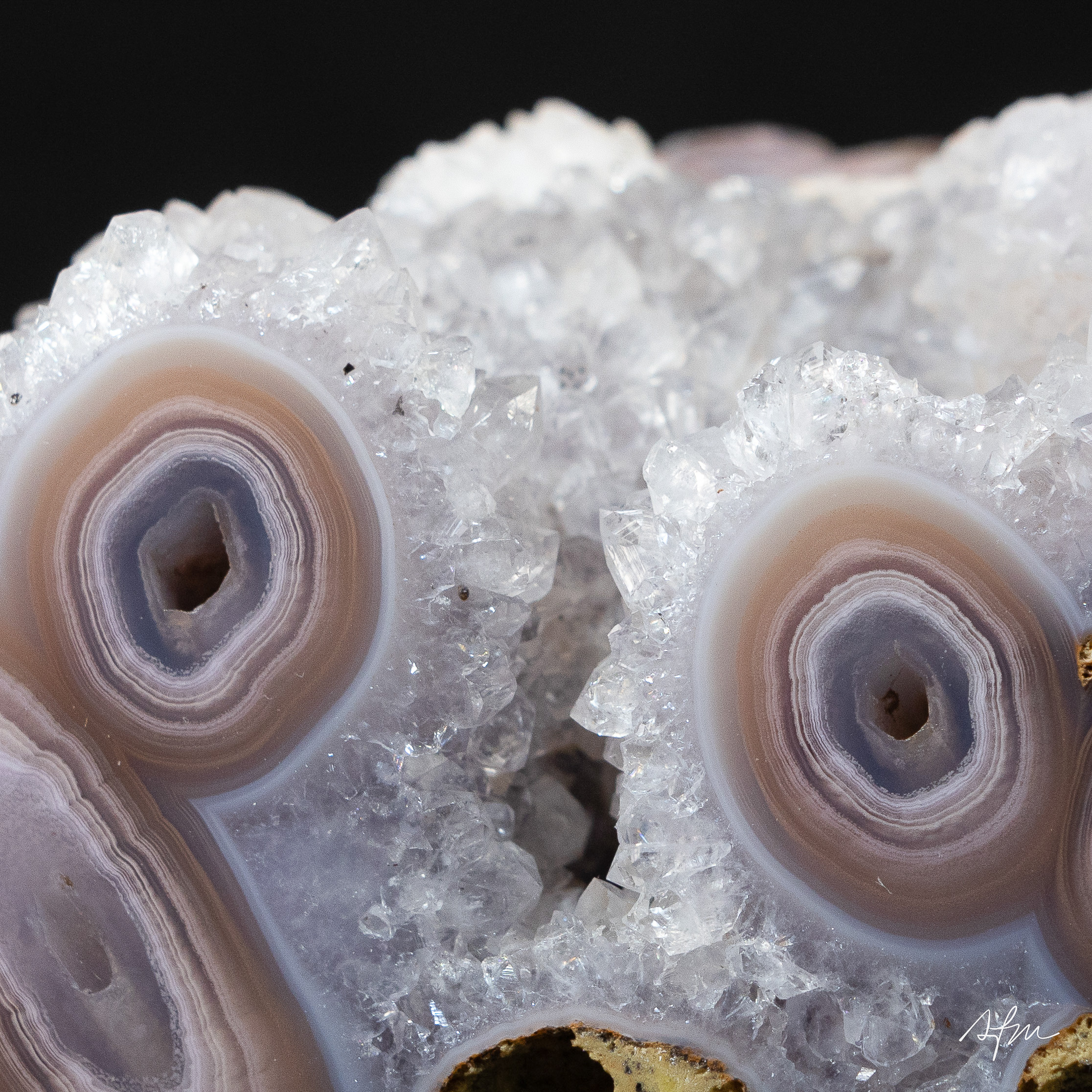 Hollow Gaze - view 3