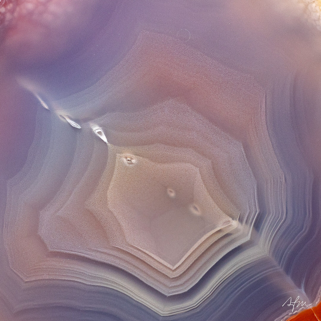 Deep iris - view 3