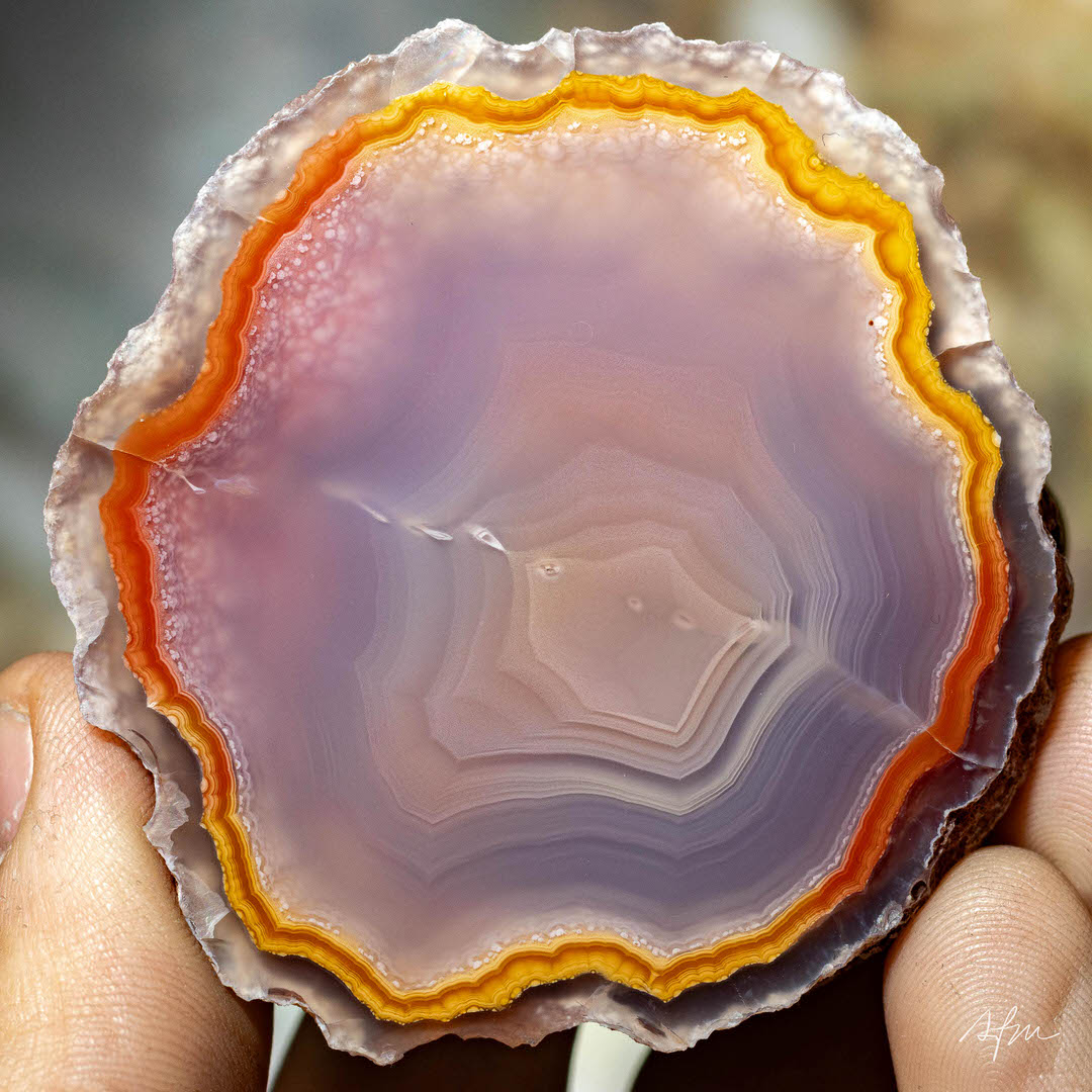 Deep iris - view 2