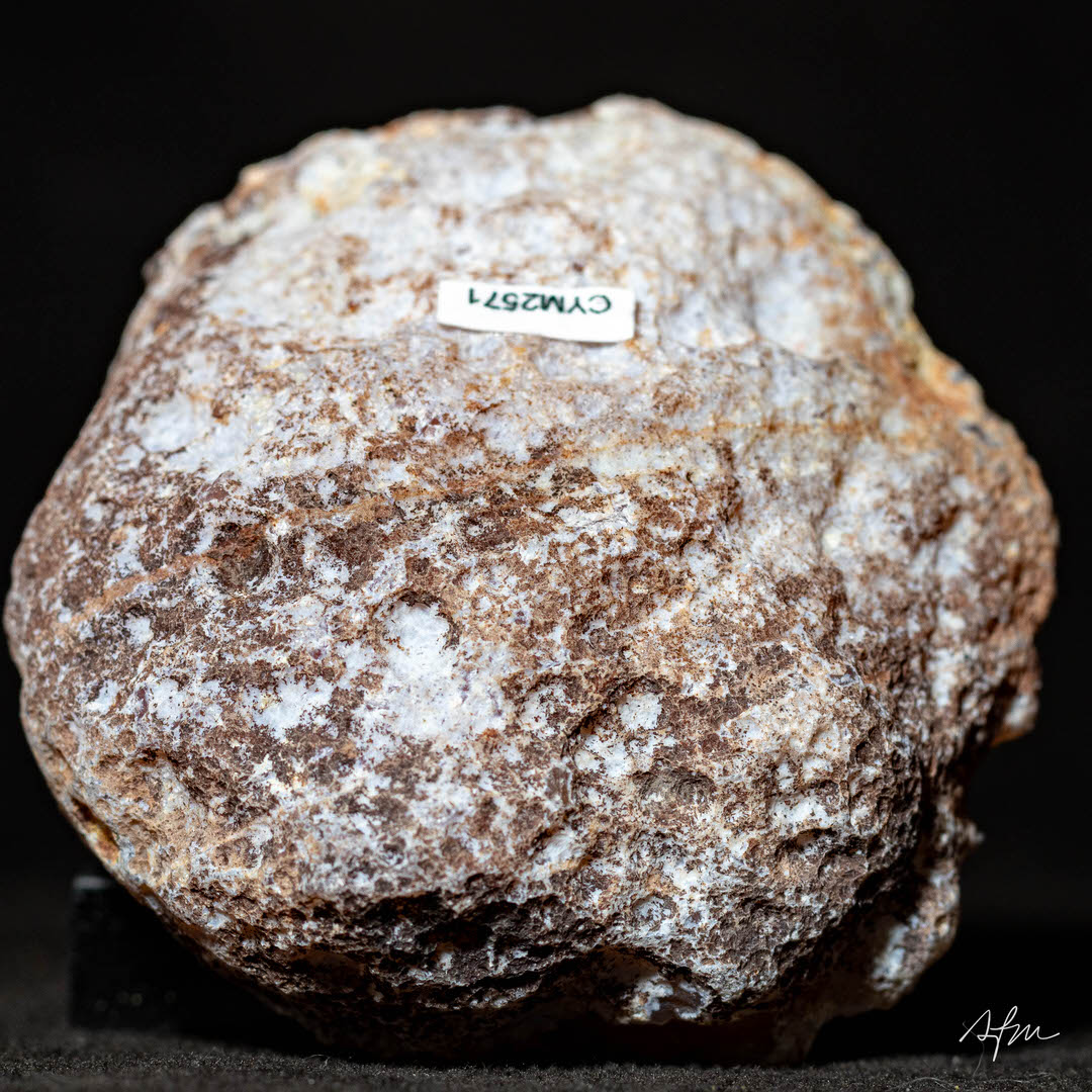 Deep iris - view 5