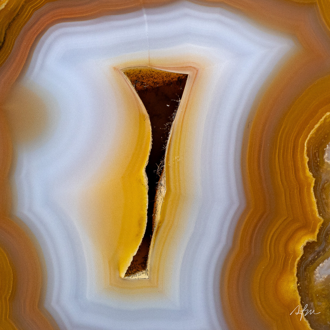 Honeyed Veils - view 3