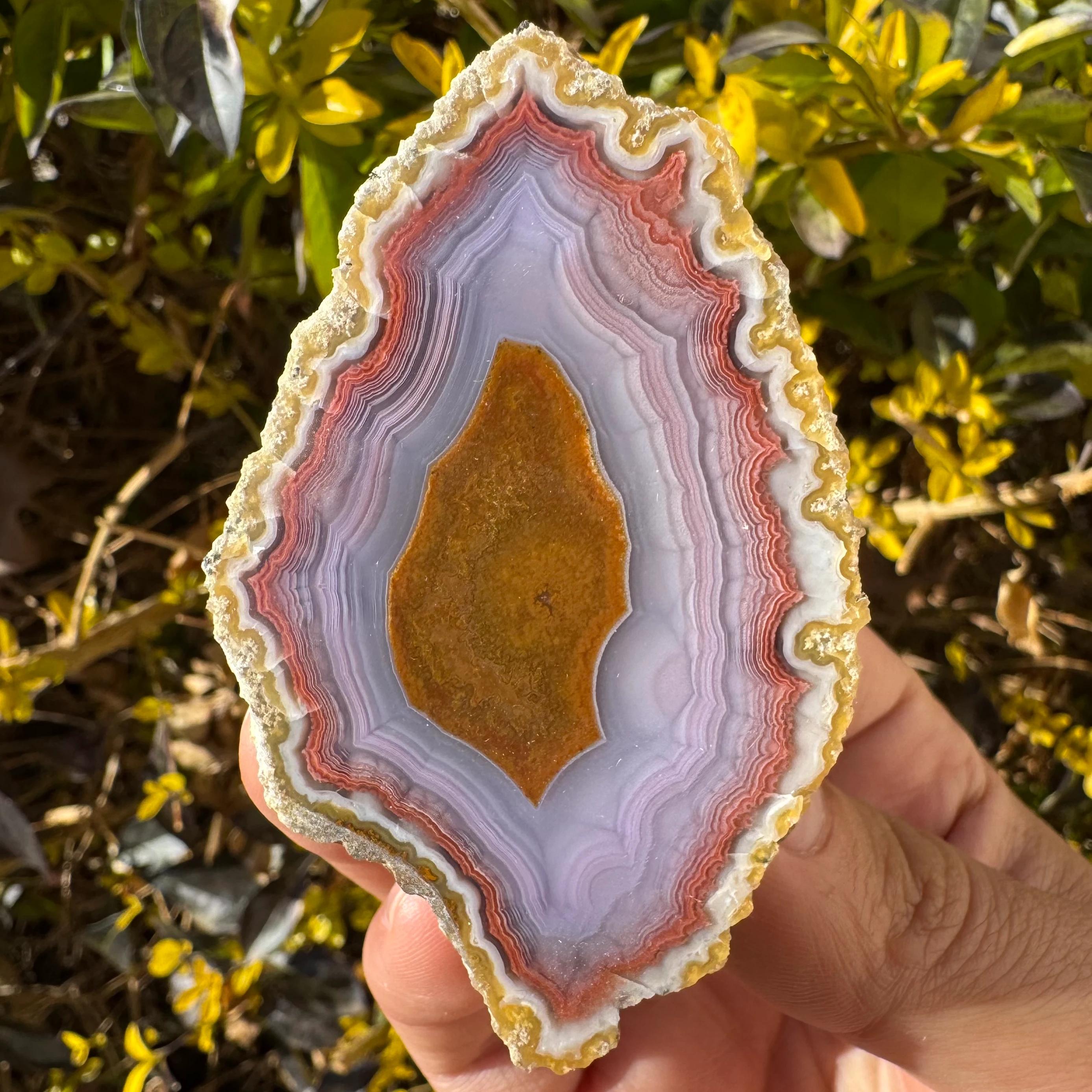Earth Eye - view 2