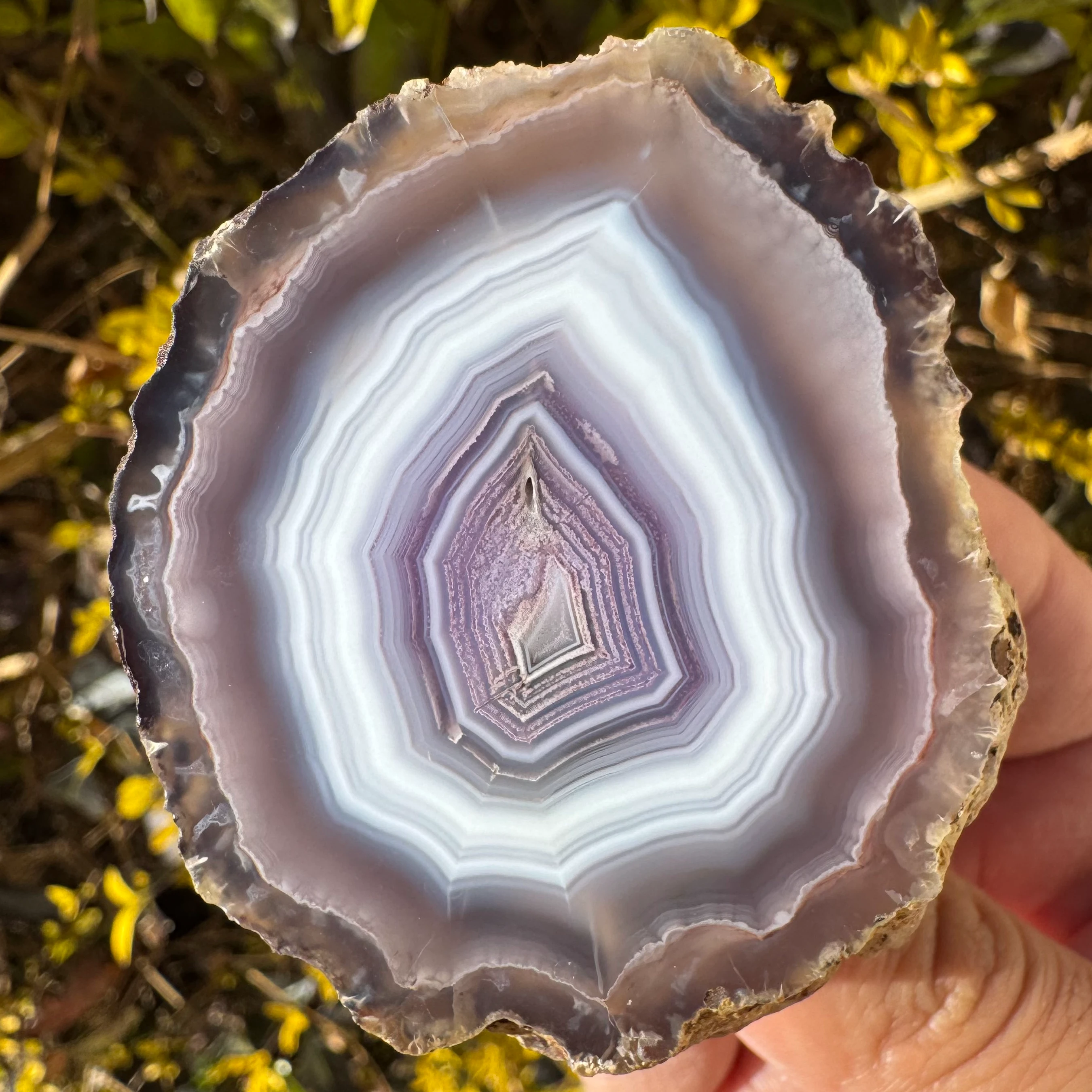 Cosmic Layers - view 2