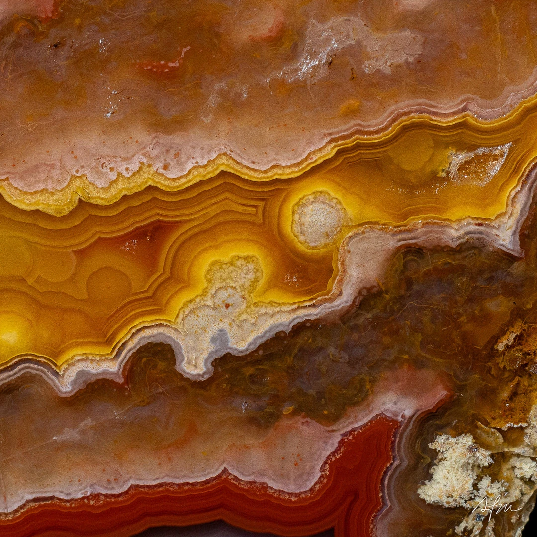 Desert Sun - view 3
