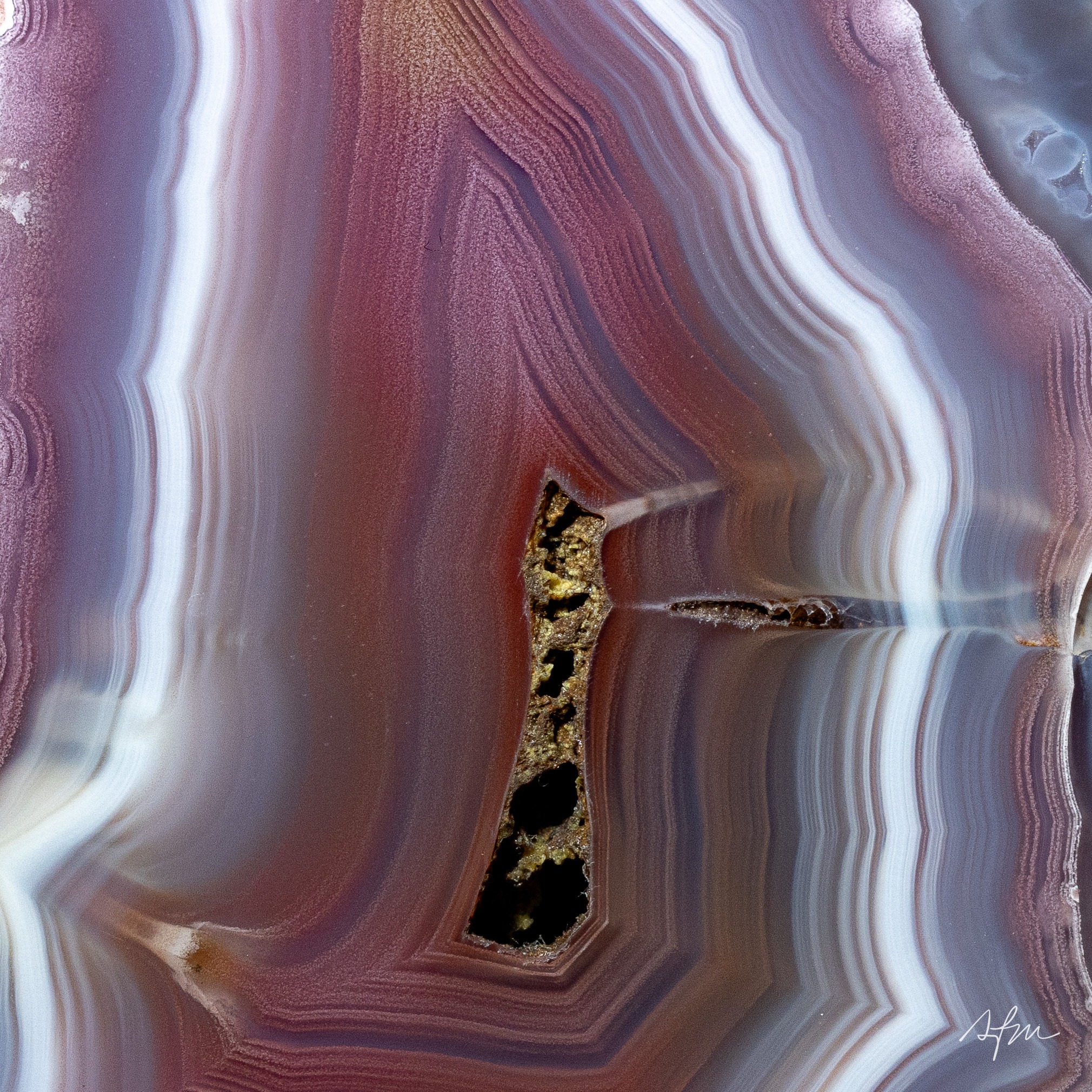 Crimson Waves - view 3