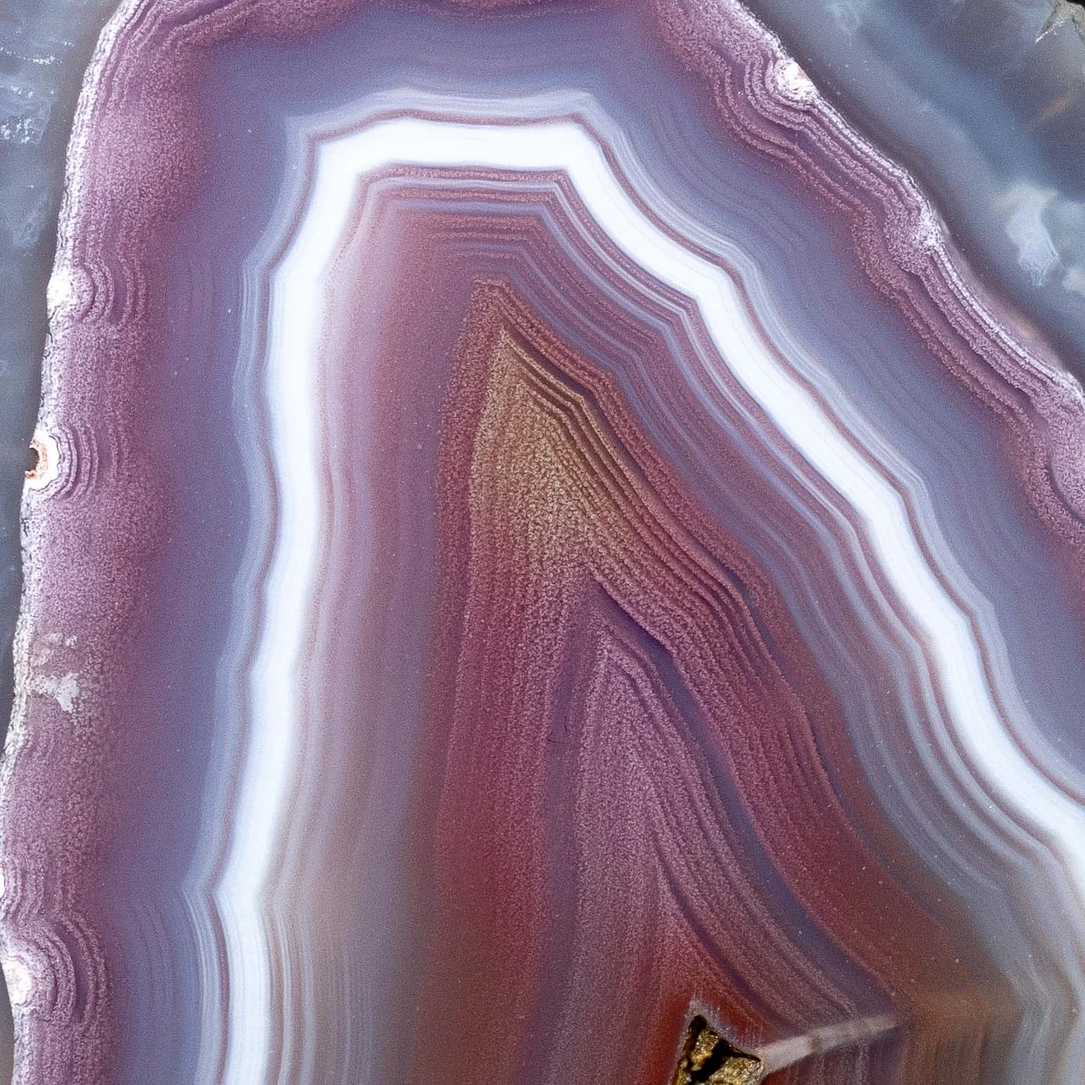 Crimson Waves - view 5