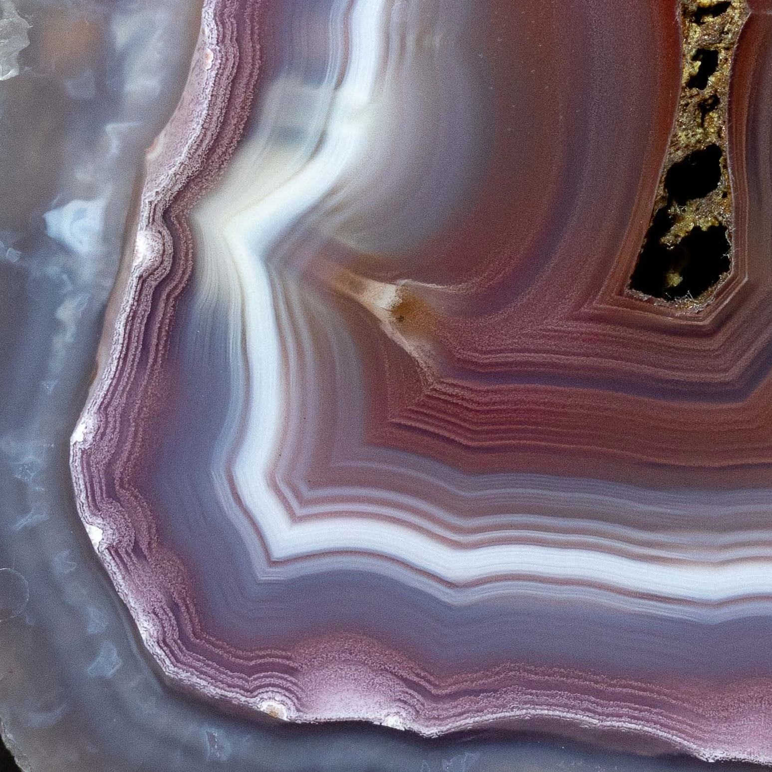Crimson Waves - view 4