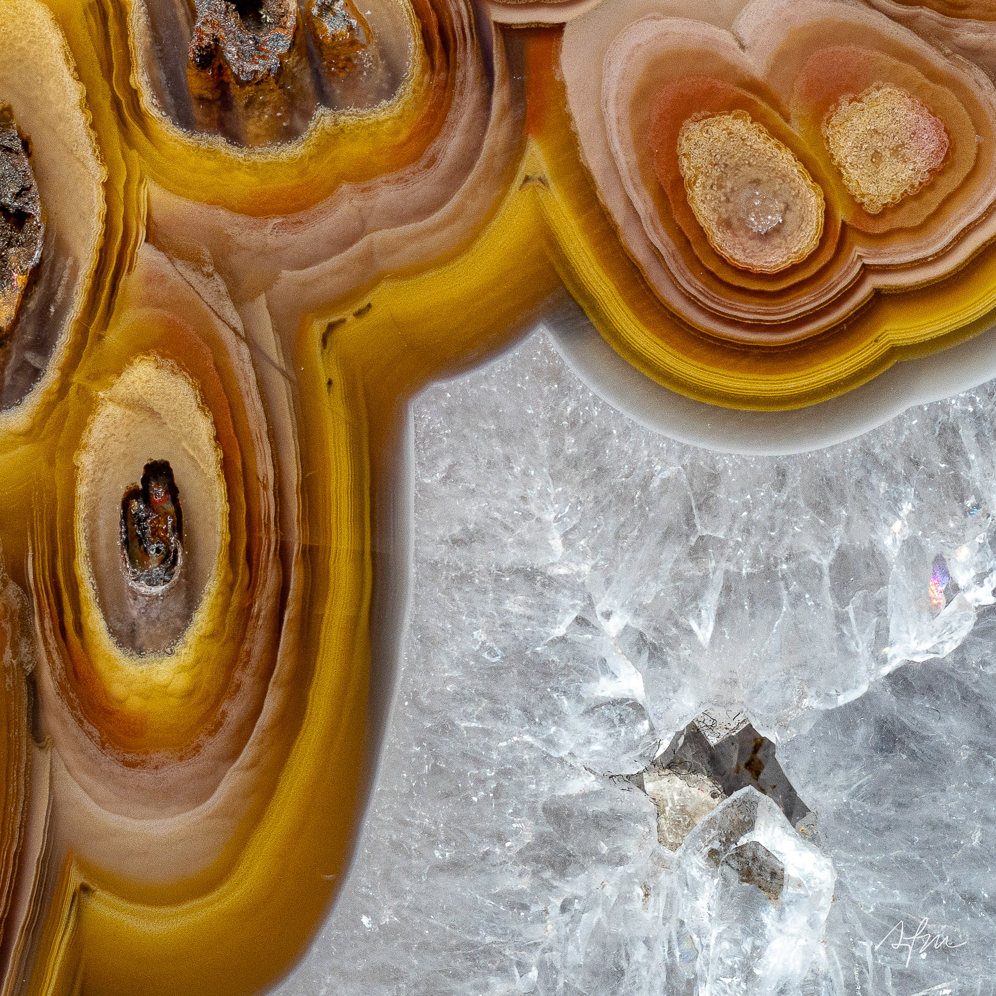 Crystalline Nest - view 2