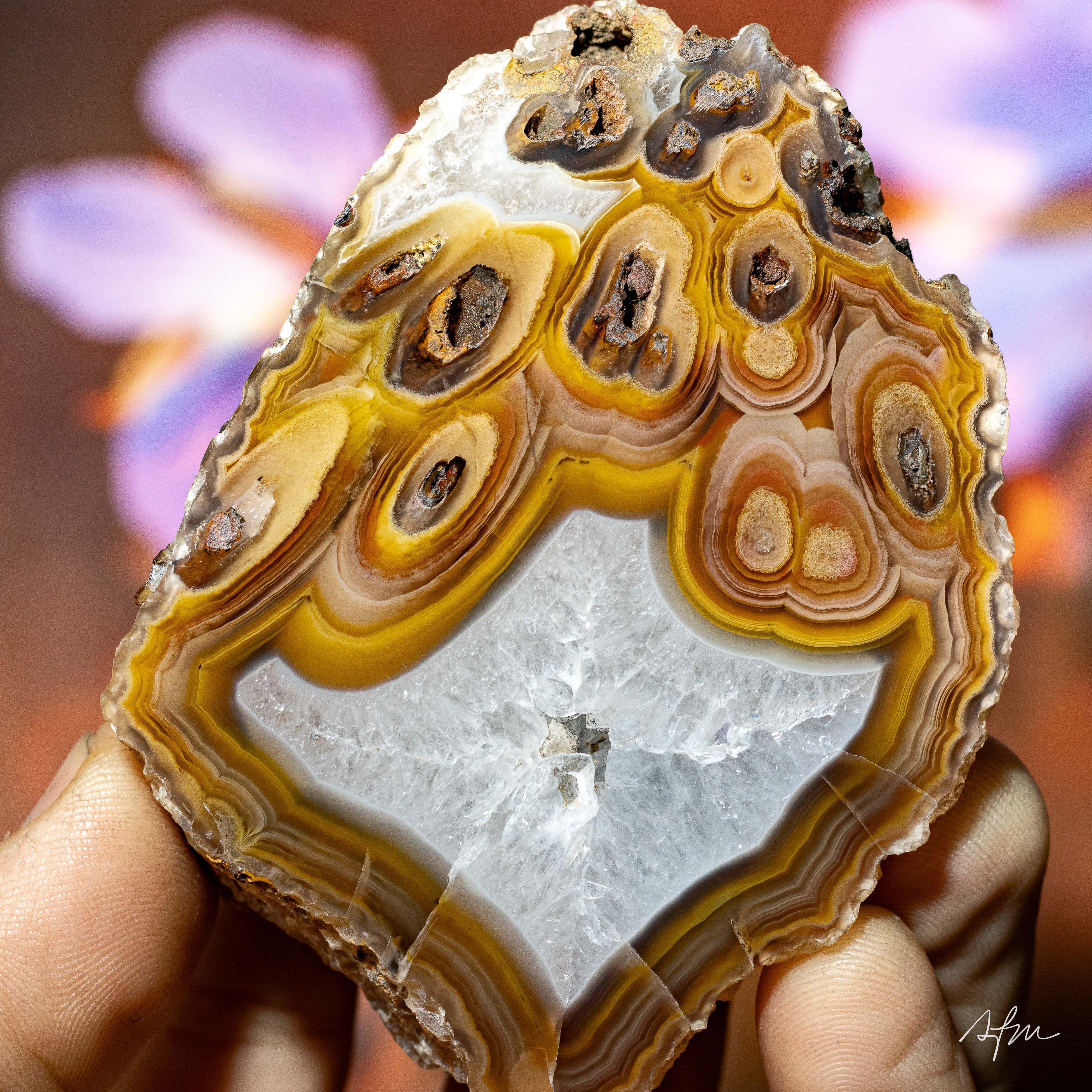 Crystalline Nest - view 5