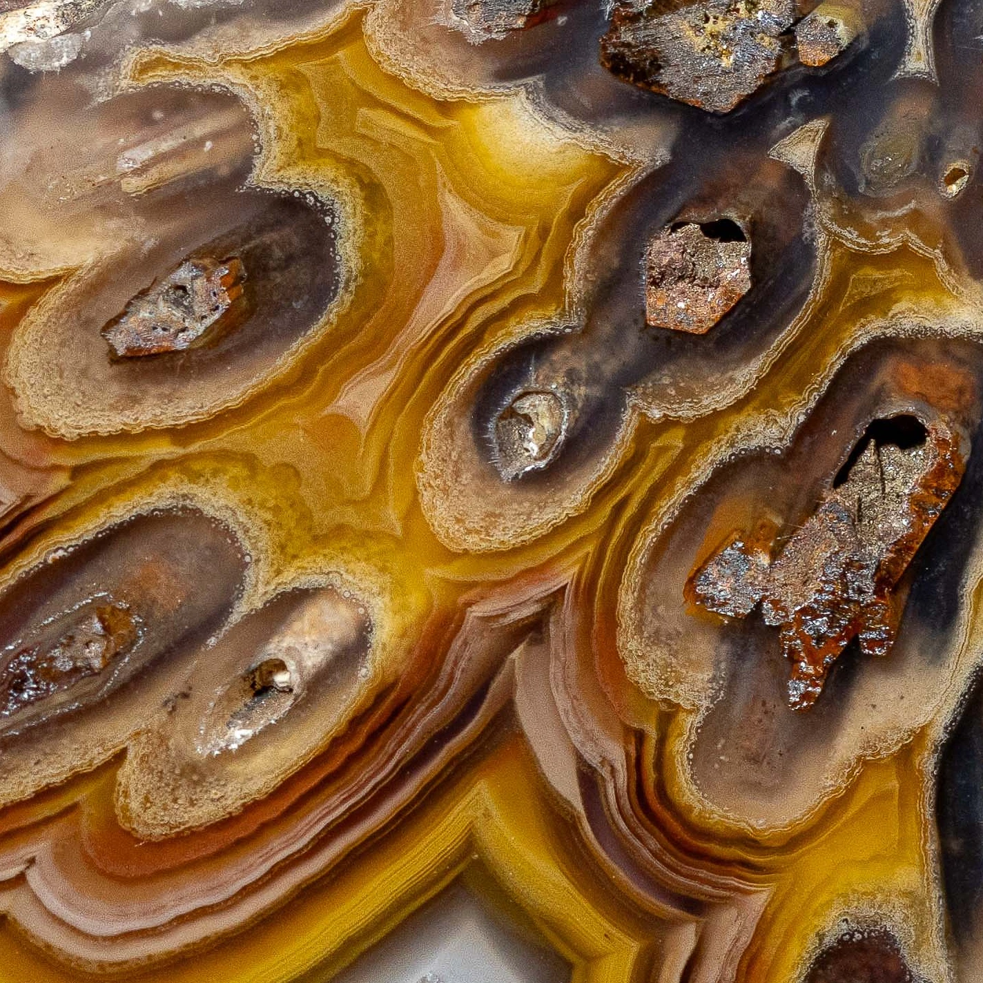 Golden Aperture - view 4