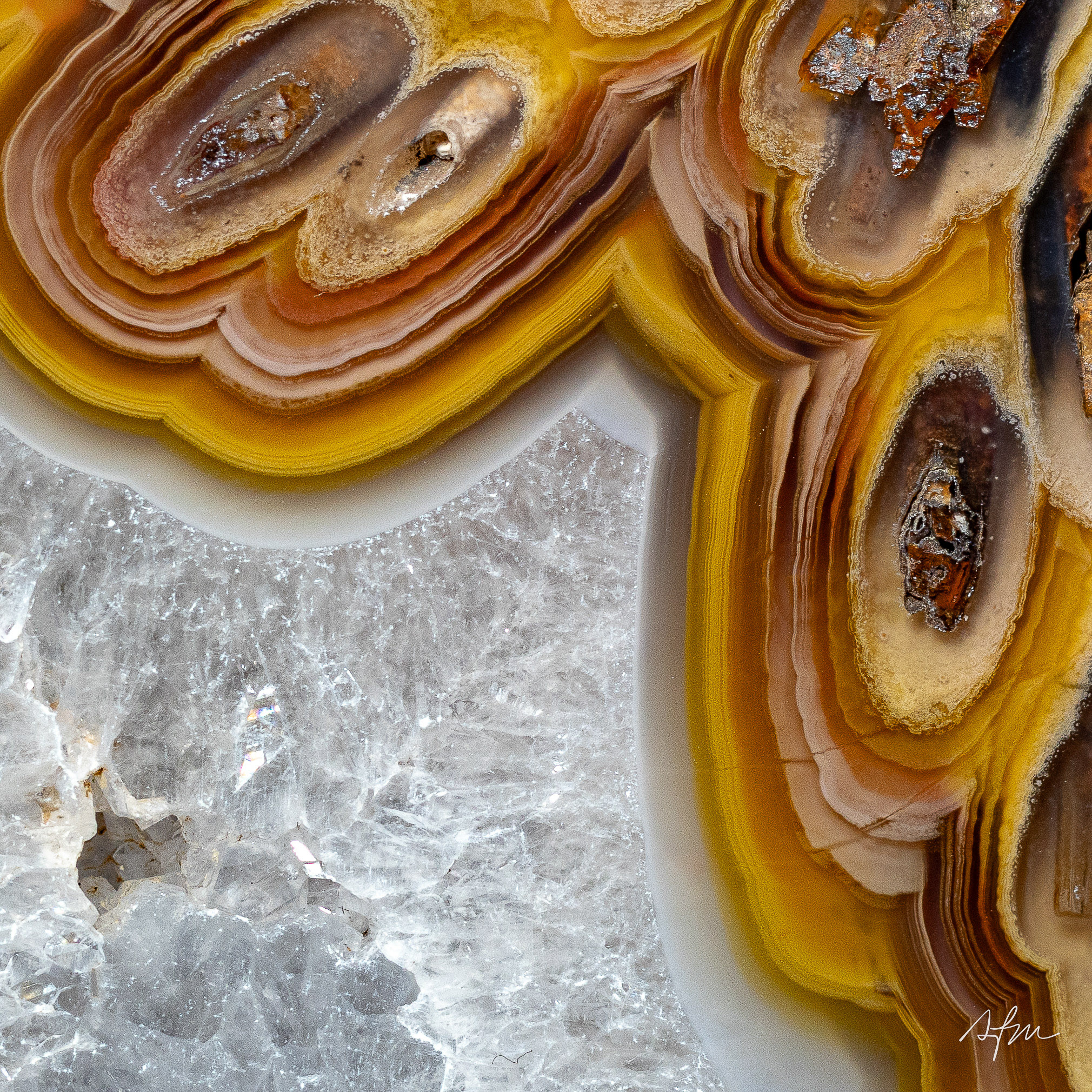 Golden Aperture - view 3