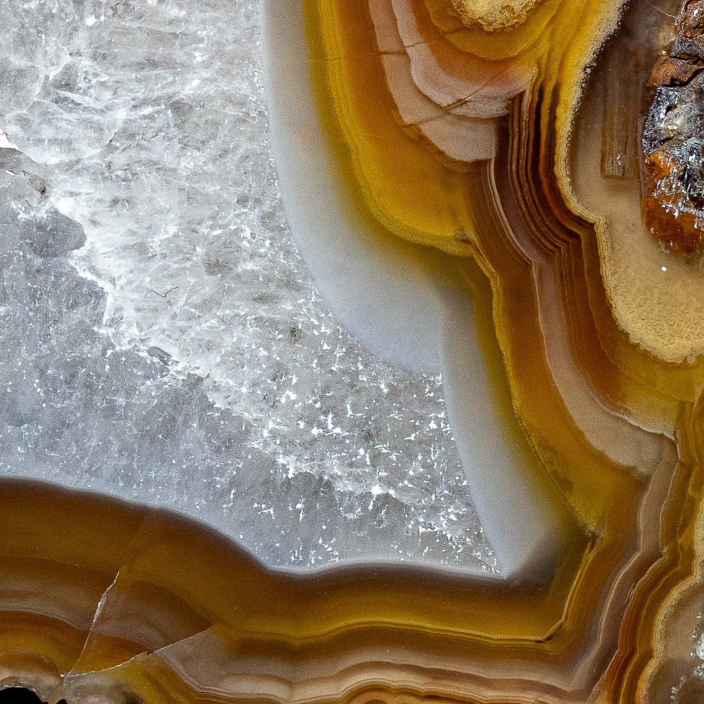 Golden Aperture - view 5