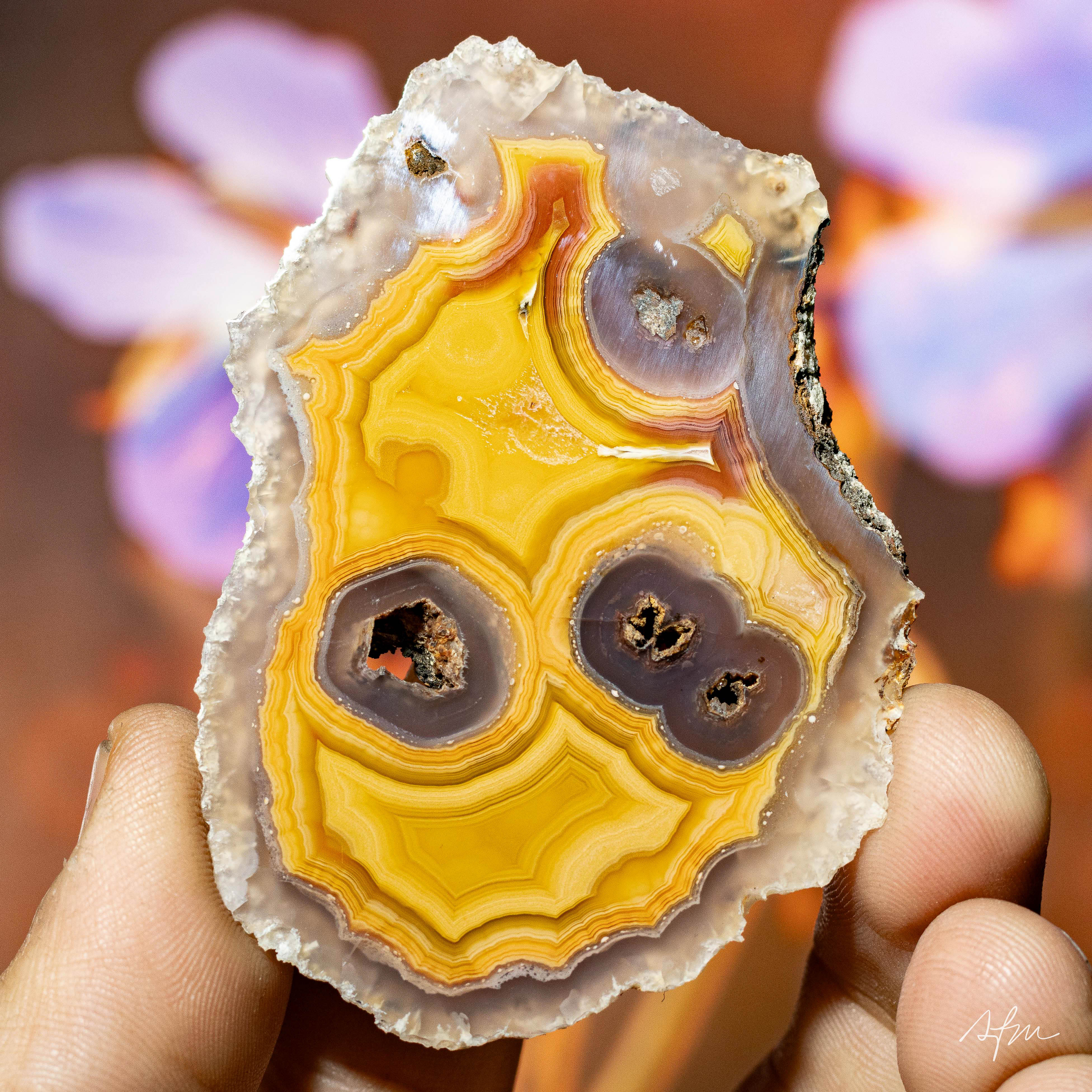 Amber Portal - view 2