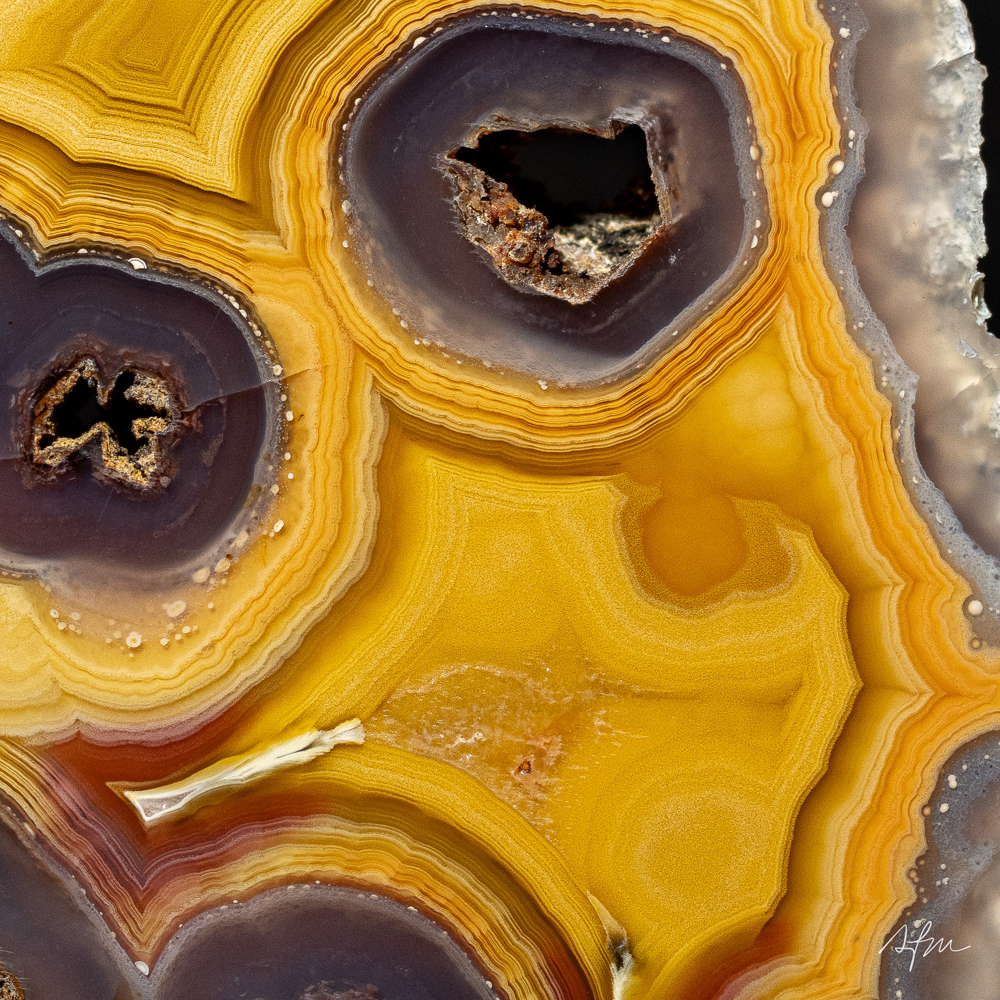 Amber Portal - view 3