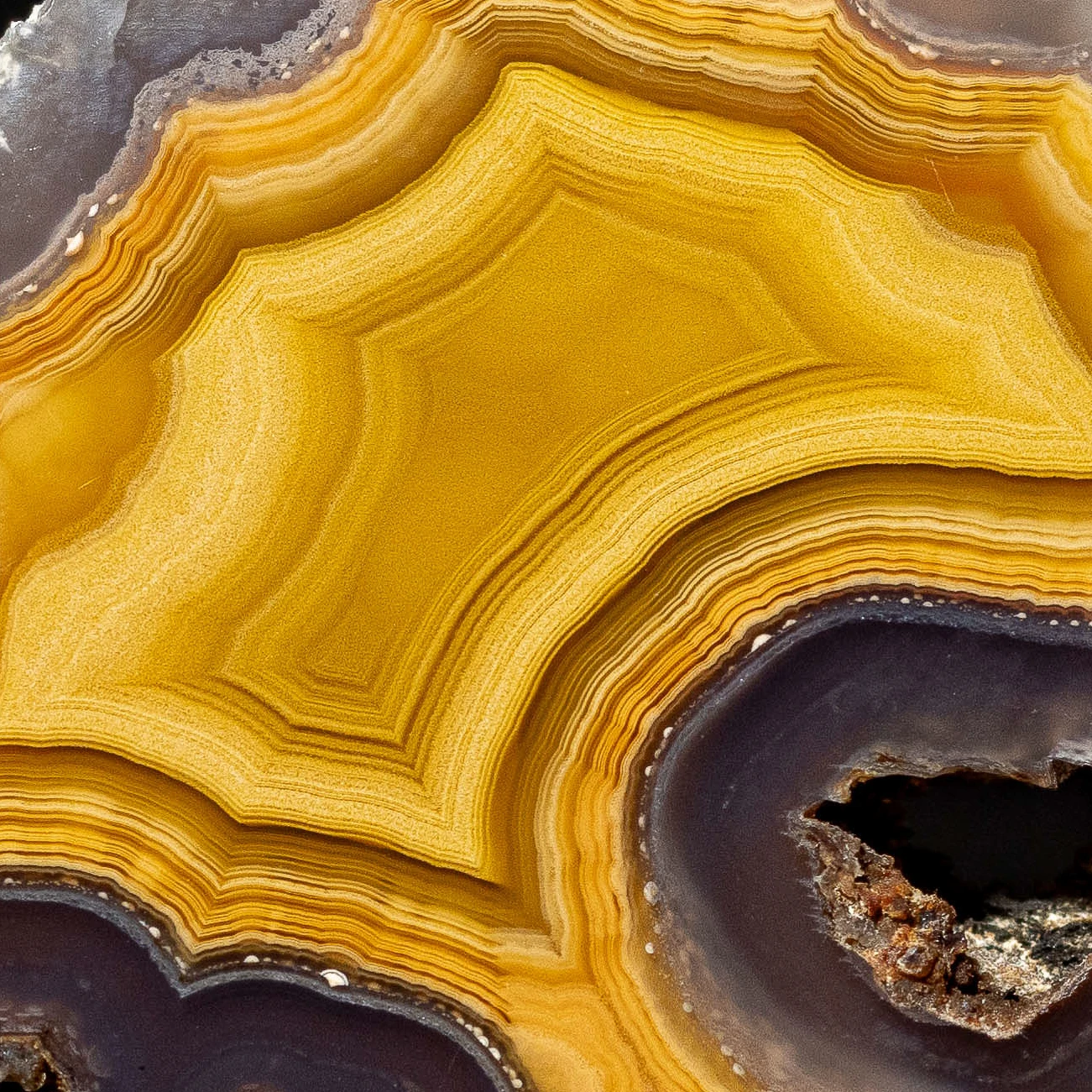 Amber Portal - view 4