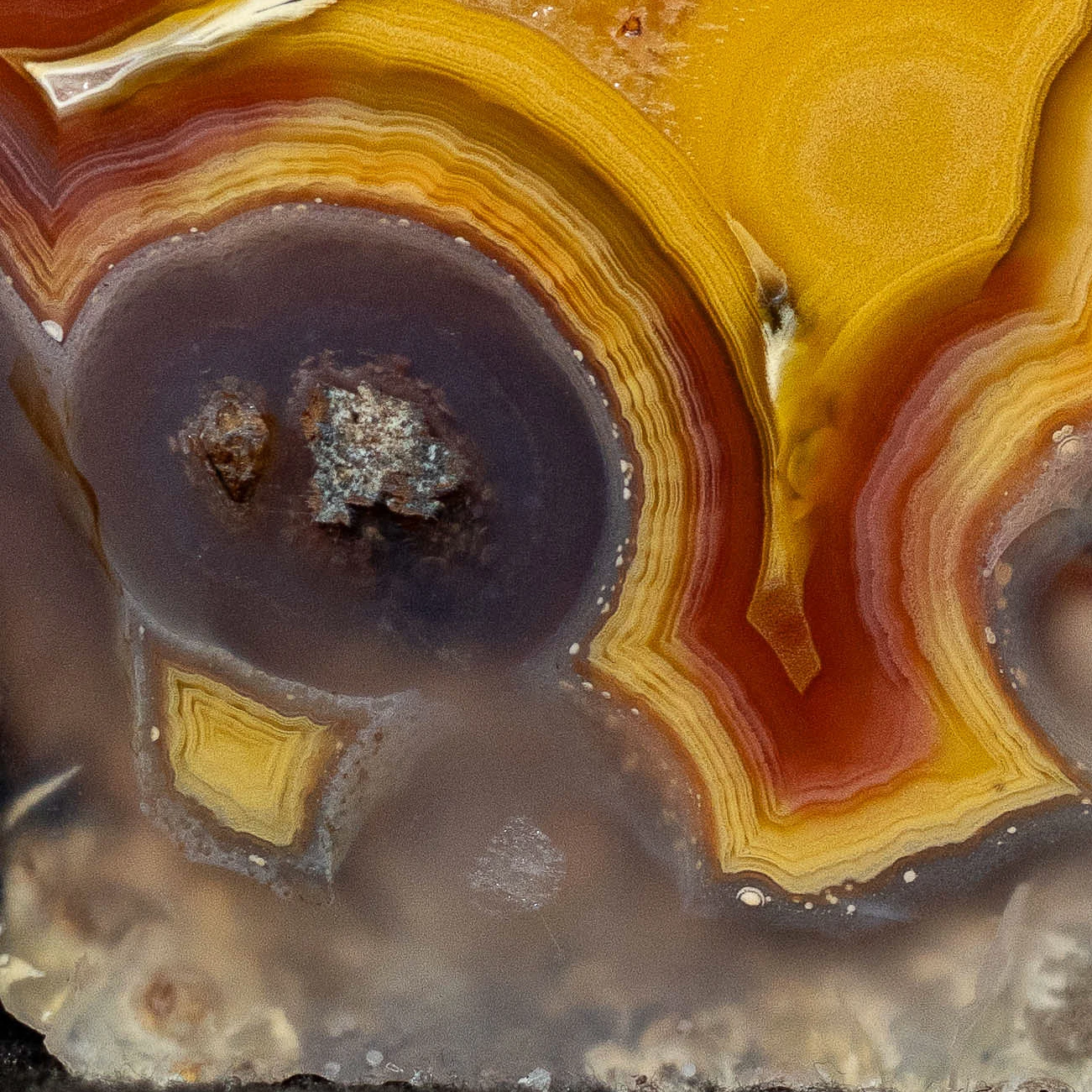 Amber Portal - view 5