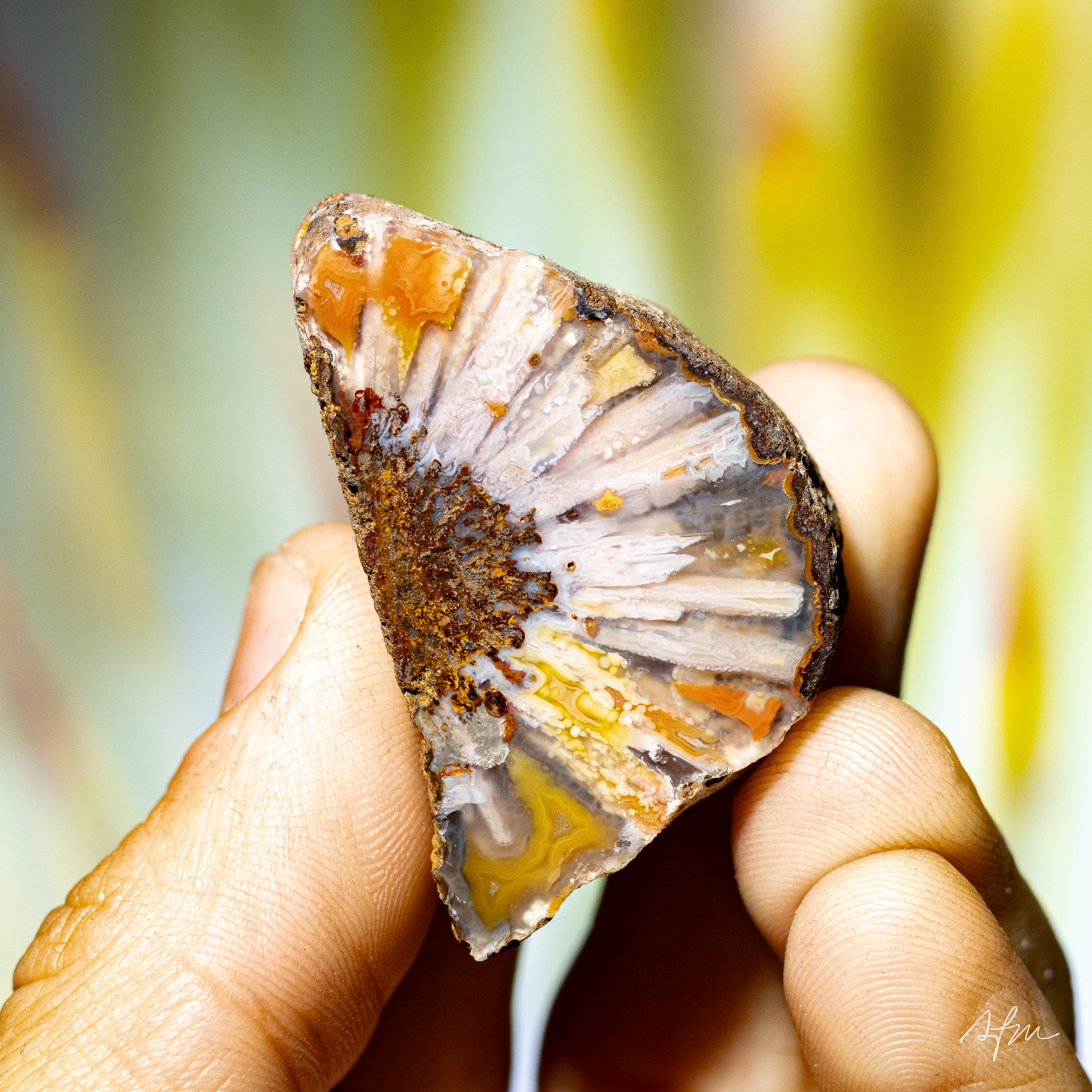 Feathers - view 2