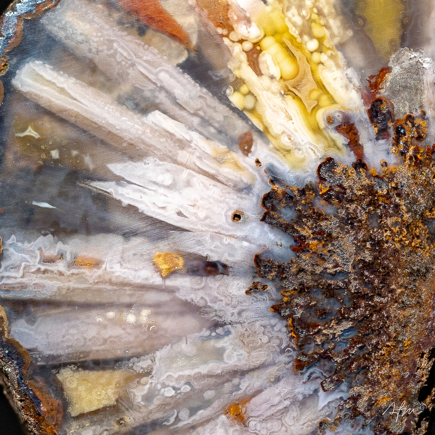 Feathers - view 3
