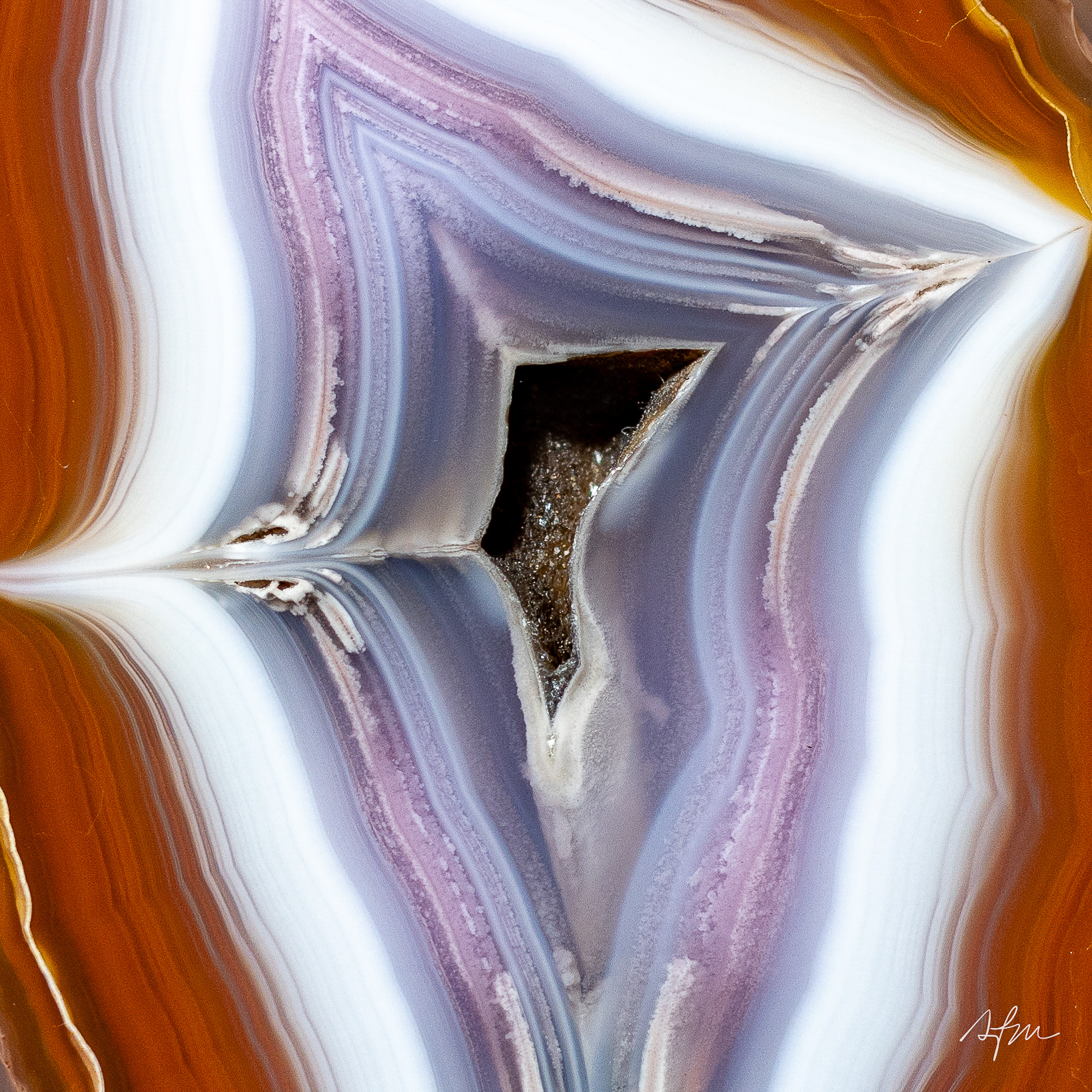 Flamepoint Vortex - view 3
