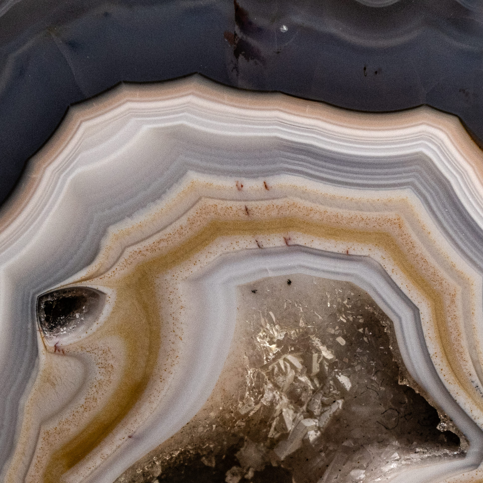 Echo Core - view 3