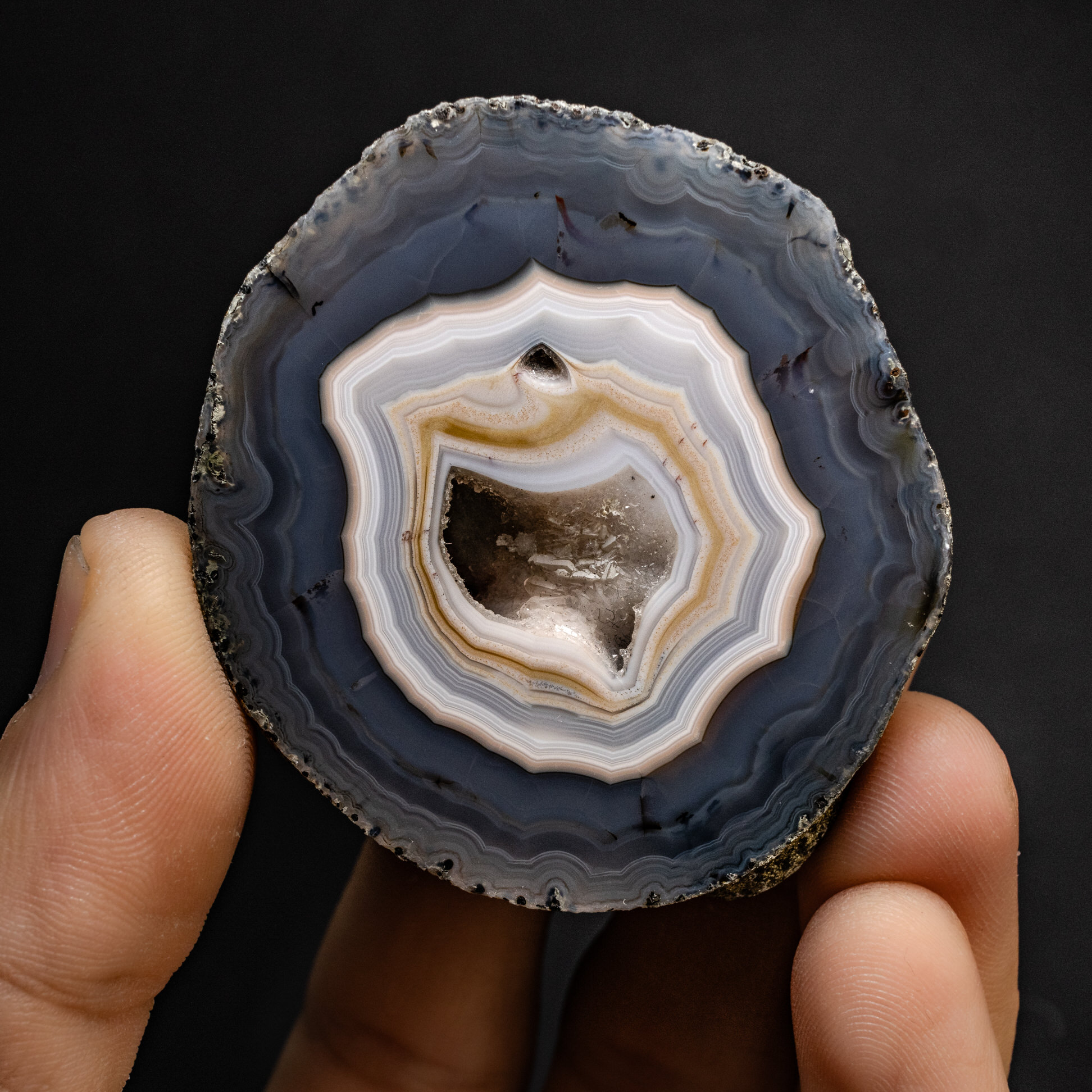 Echo Core - view 2