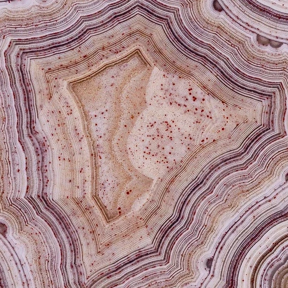 Pink Wood  - view 4