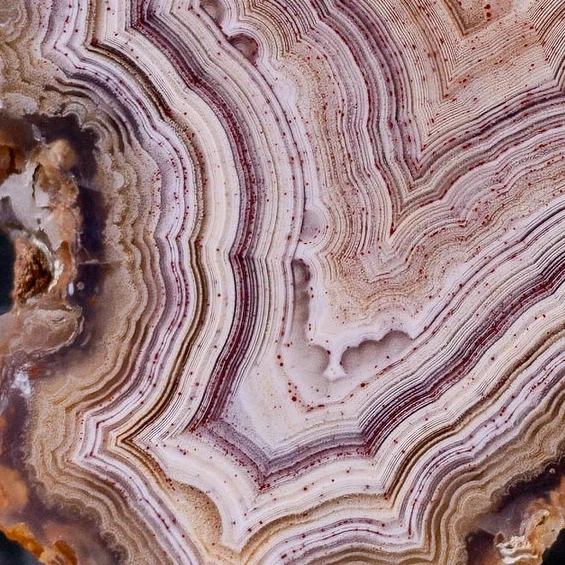 Pink Wood  - view 5