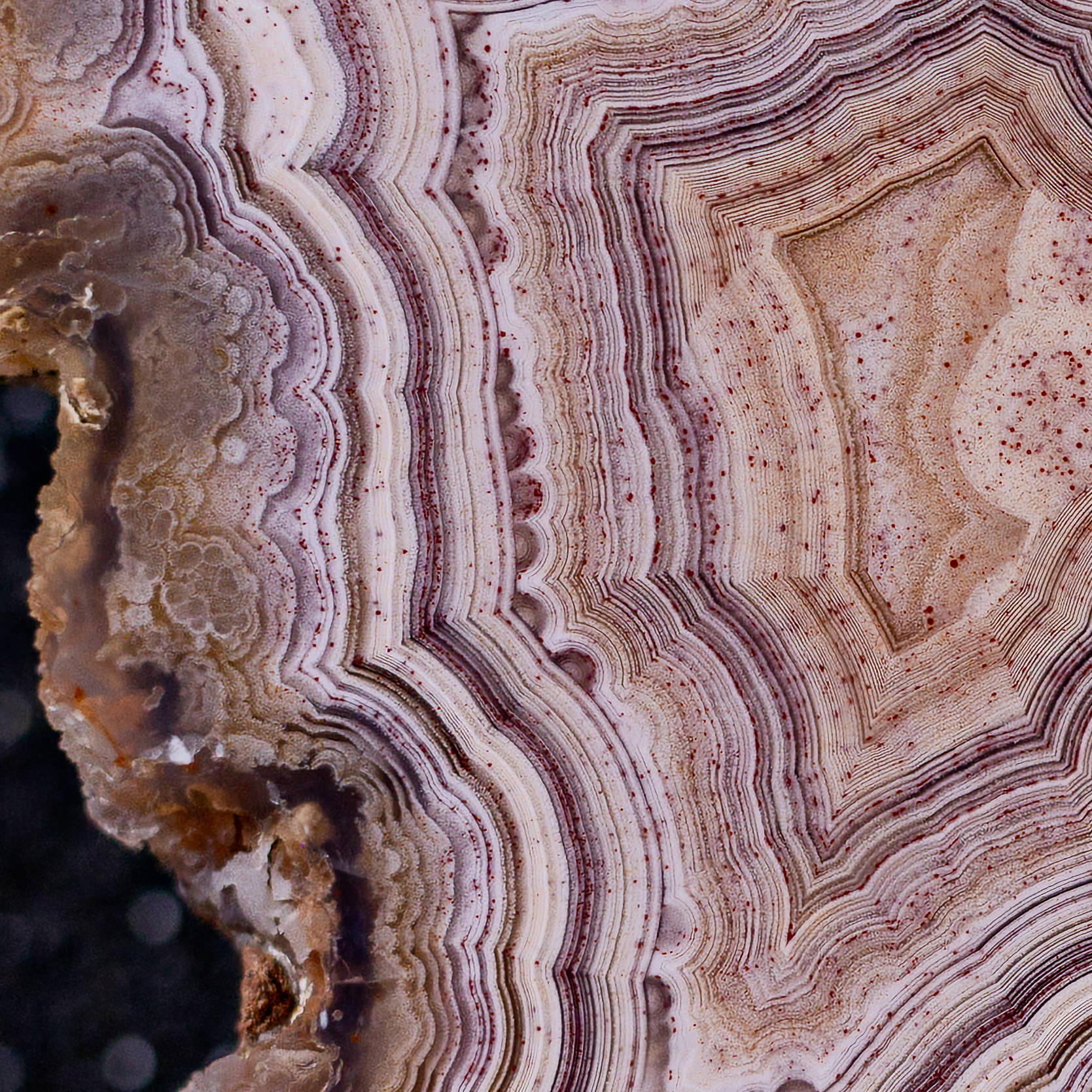 Pink Wood  - view 3