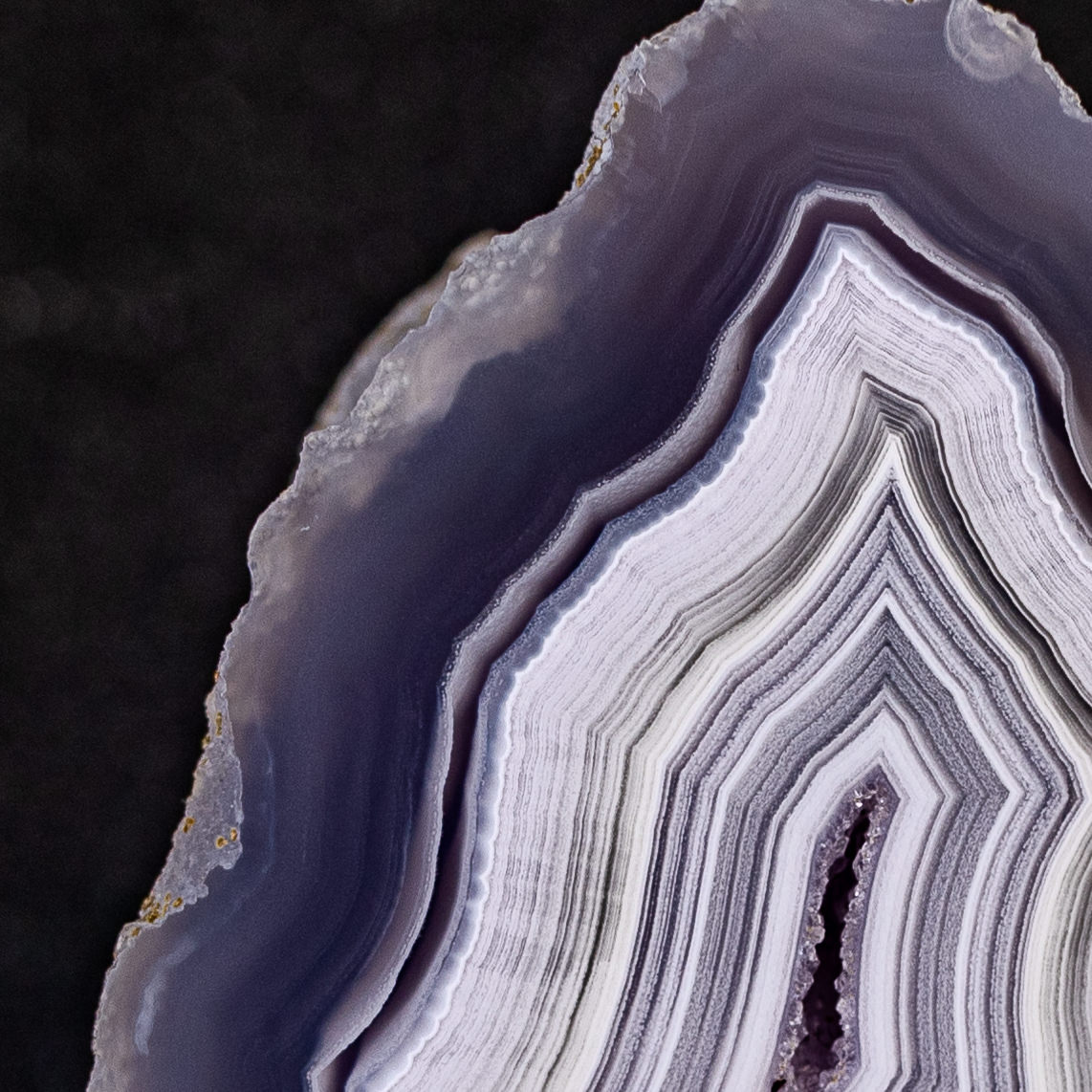 Portal Nexus - view 3