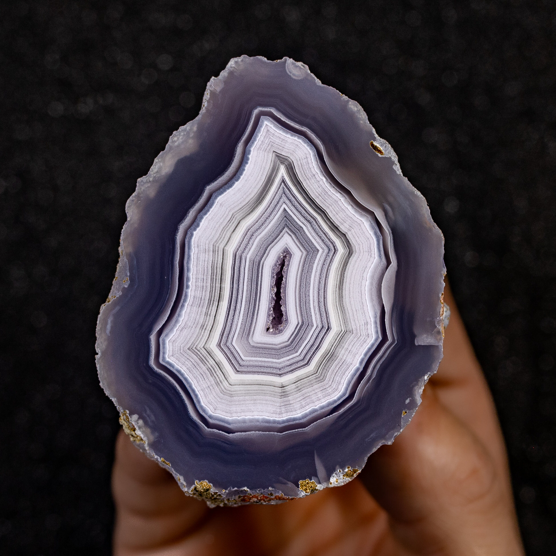 Portal Nexus - view 2
