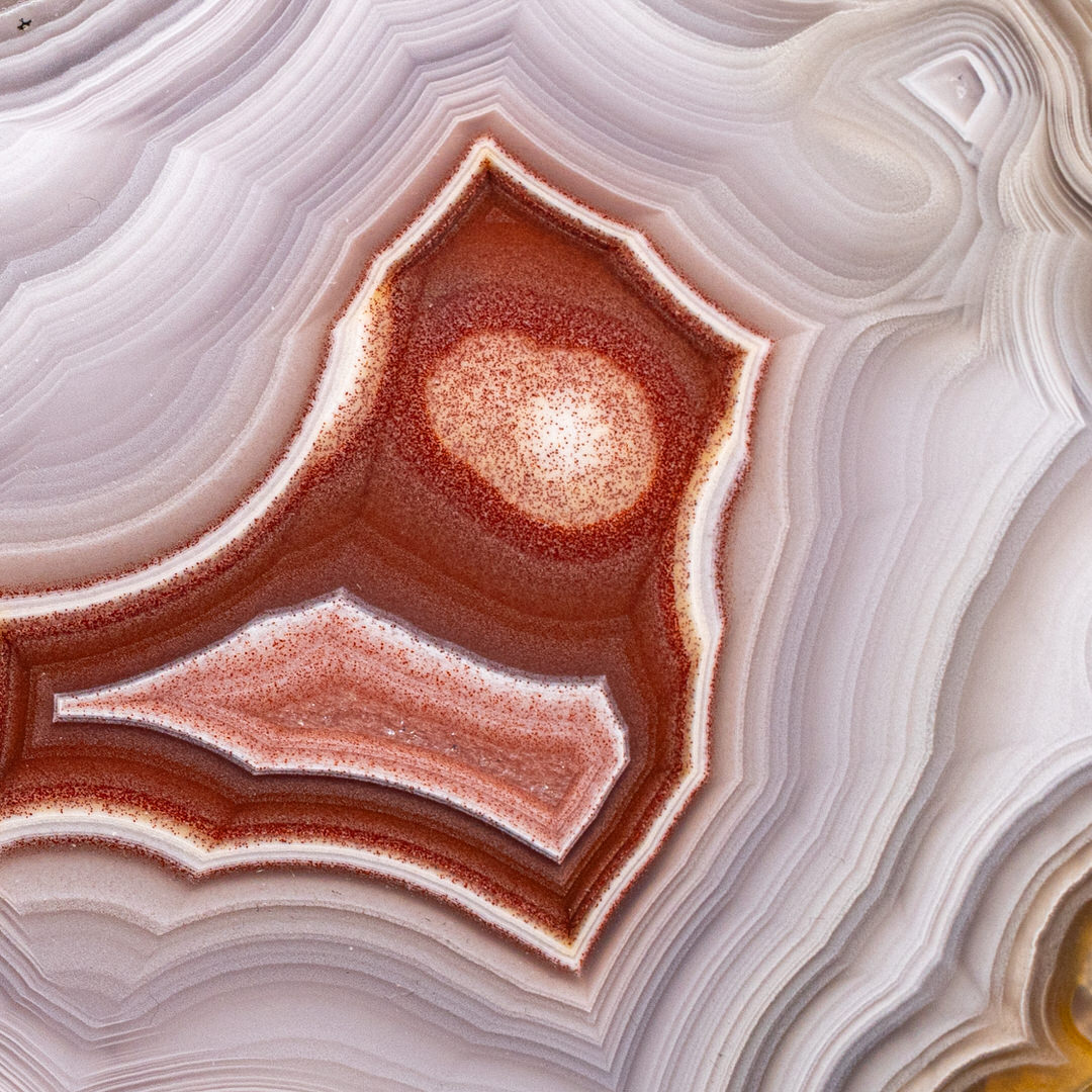Crimson Eye - view 3