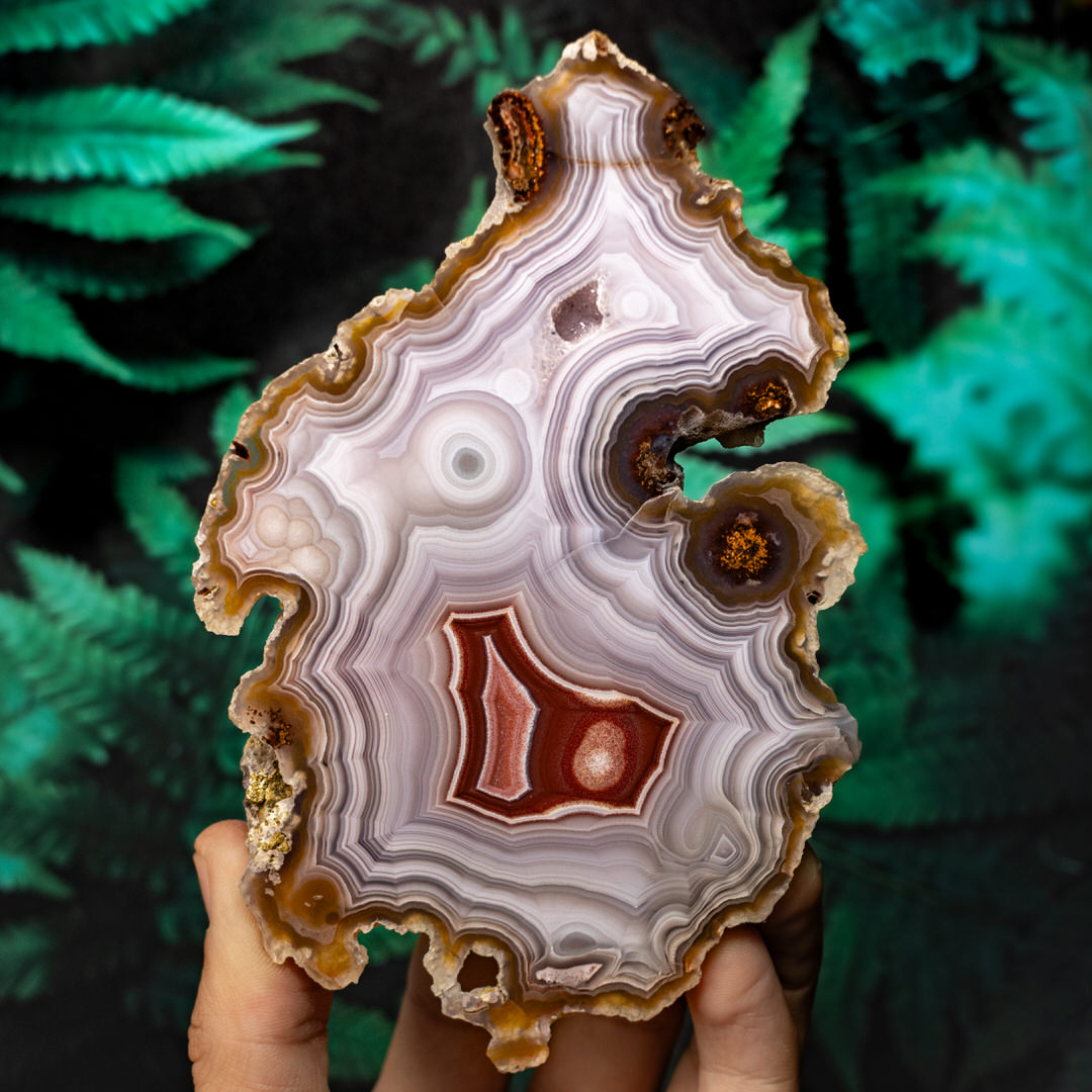 Crimson Eye - view 2