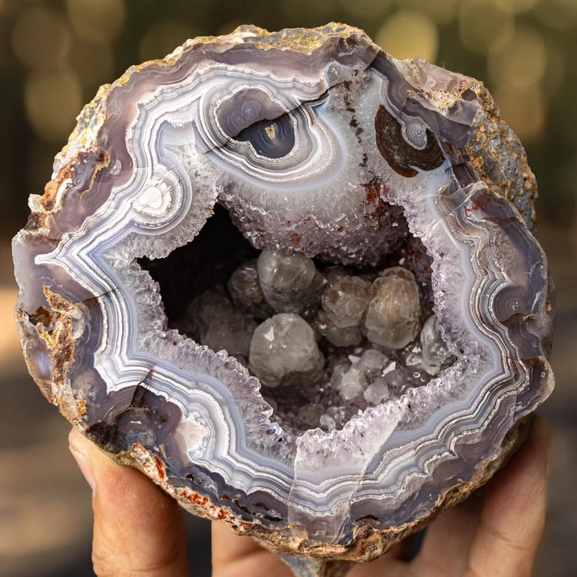 Grape  - view 2