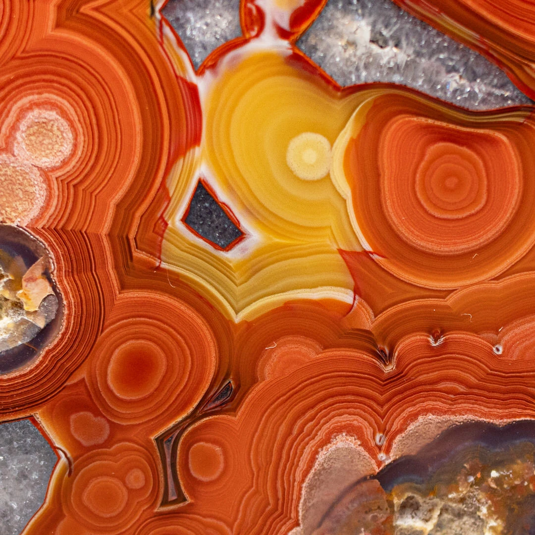 Fire Red  - view 3