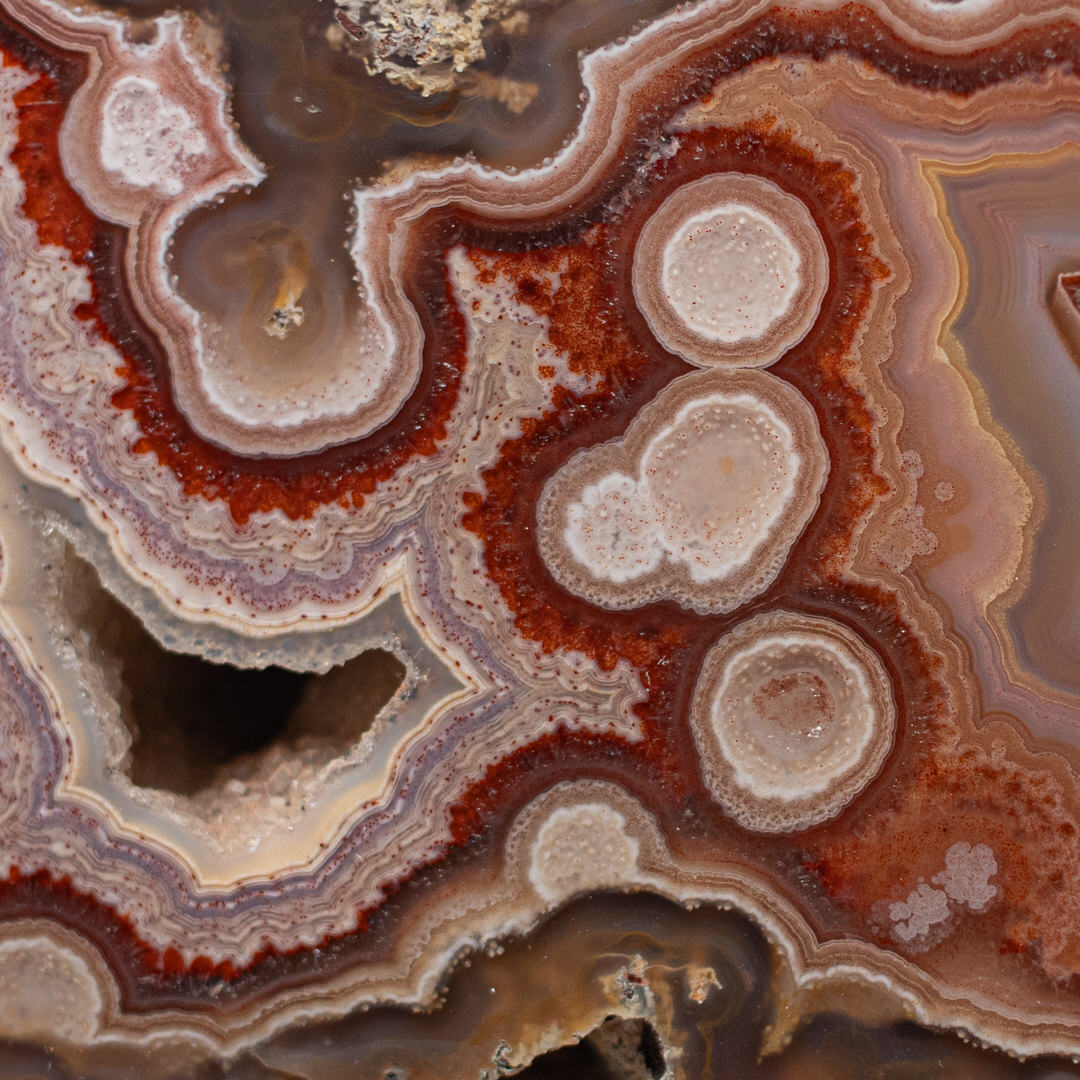 Redart - view 3